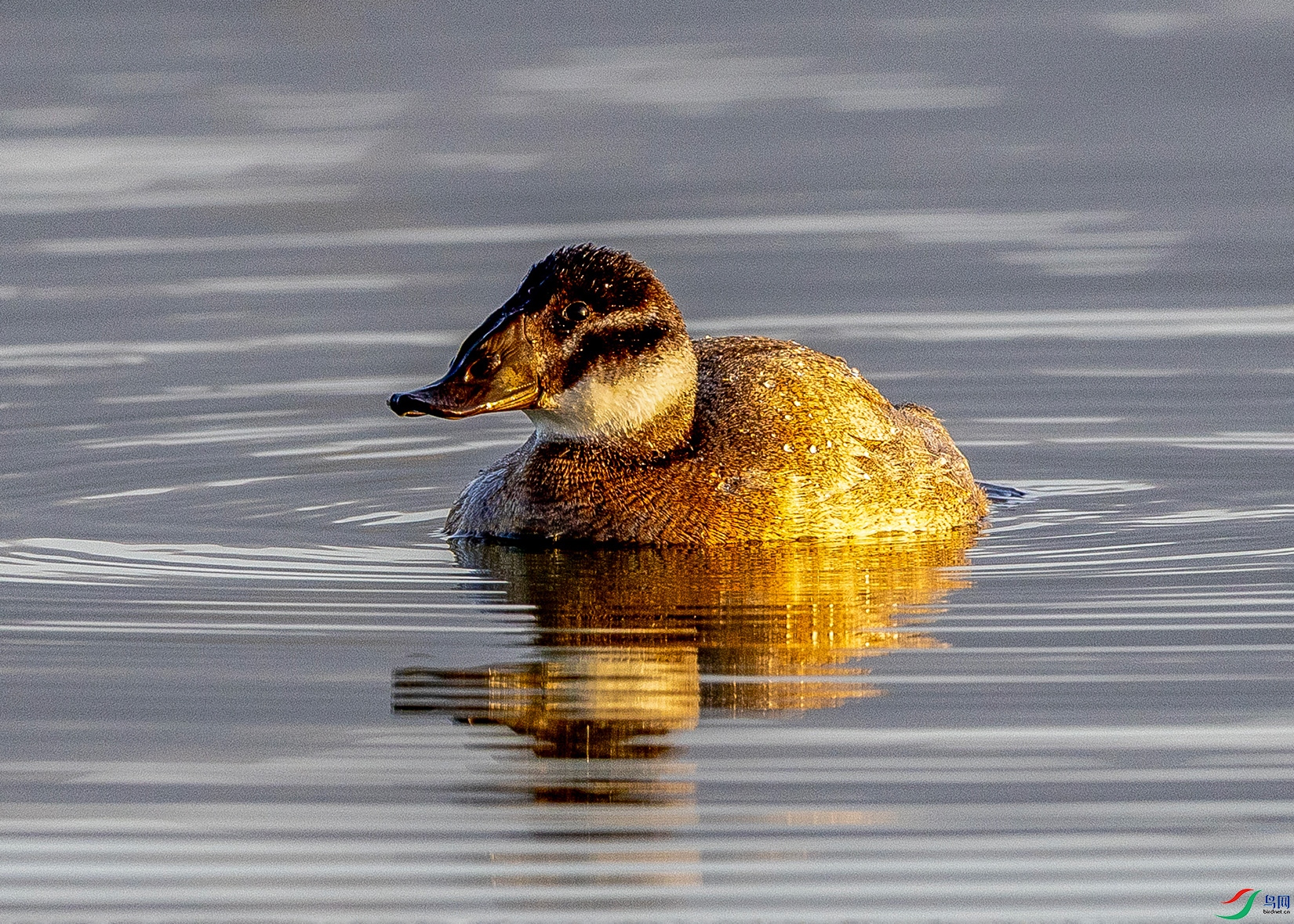 IMG_6337 ����.jpg