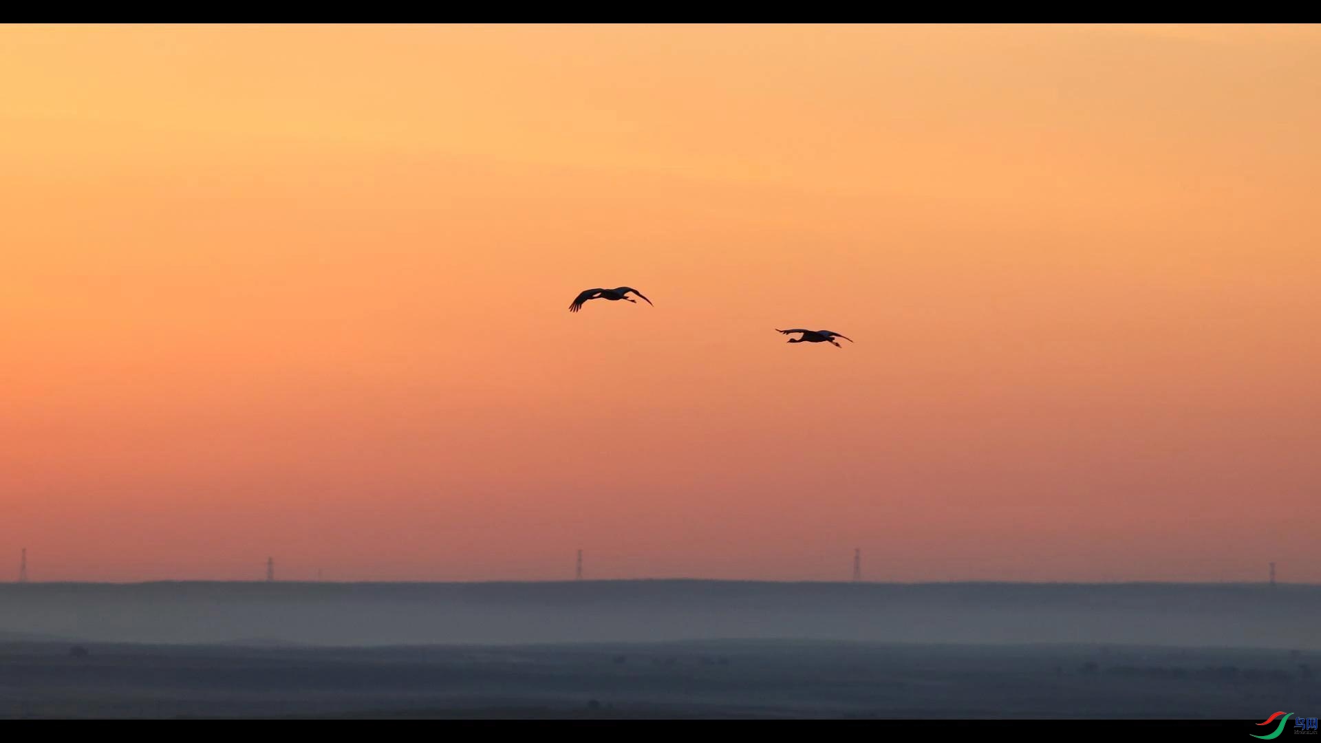 10��3�� (2)-����.jpg