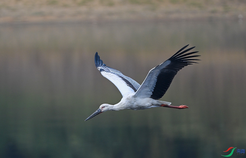 DSC_4655 ����.jpg