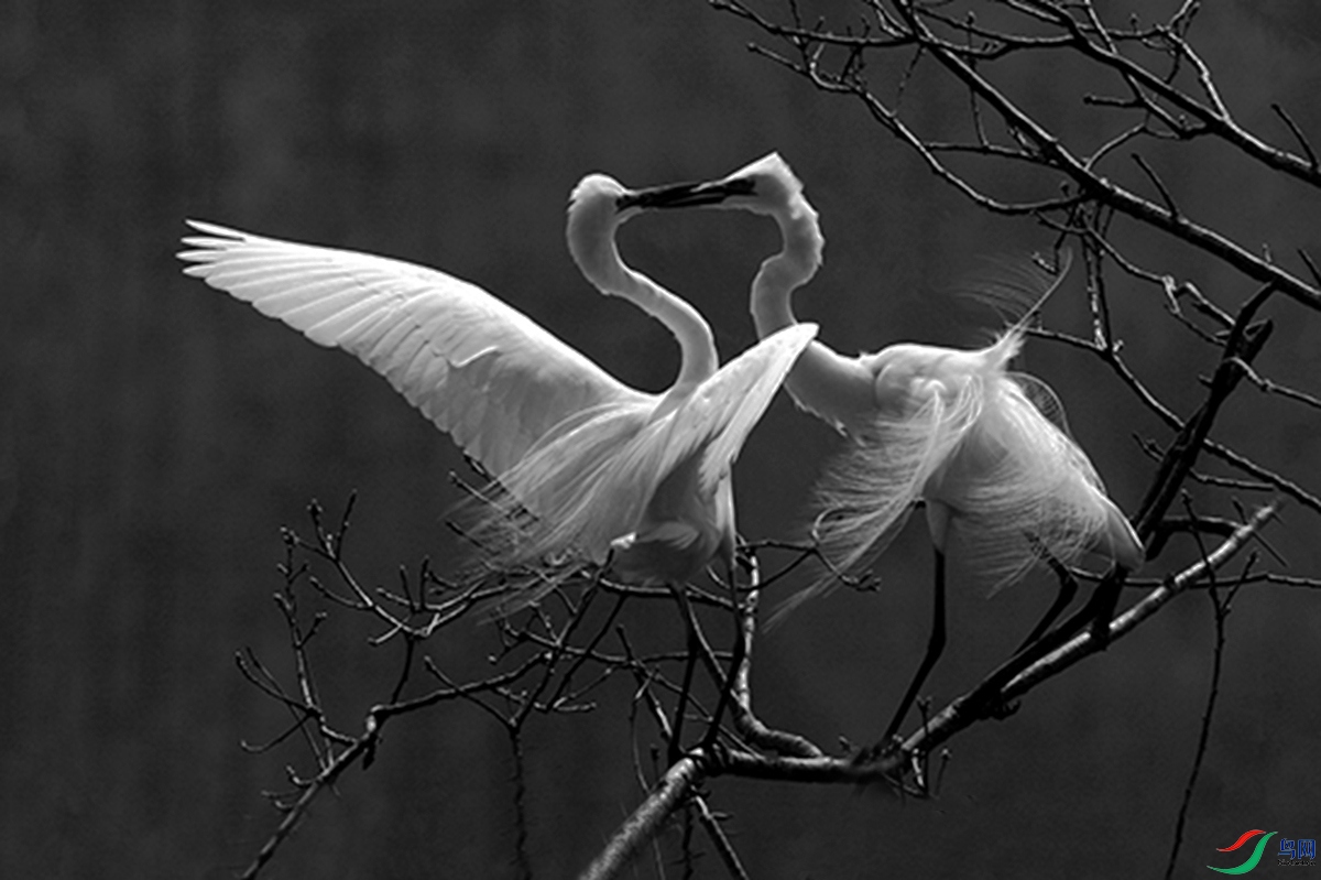 ����-2010����1 ����.jpg