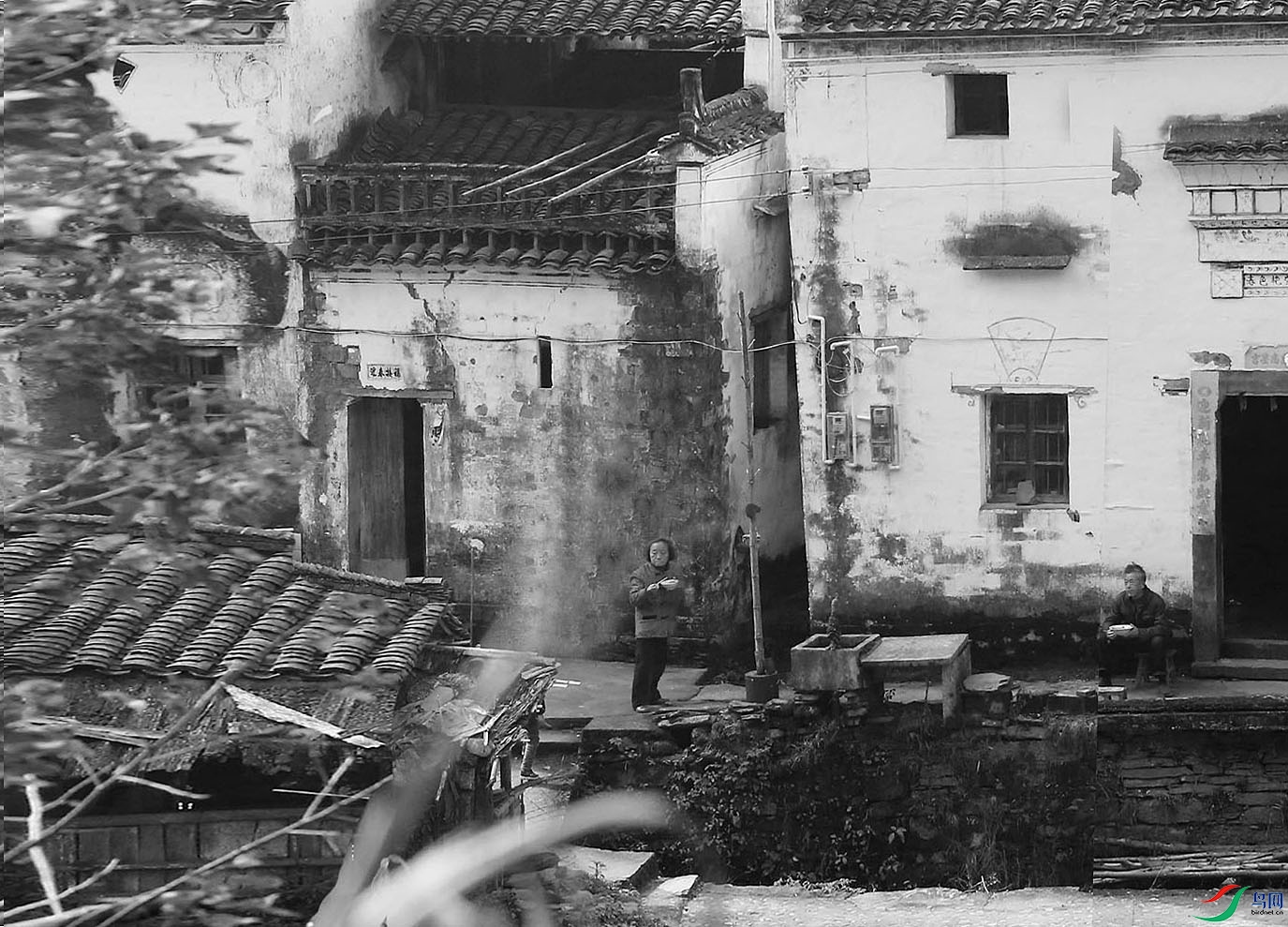 01-��Ҷ����һ��Ƶ�  ���Ĳ���һ������.jpg