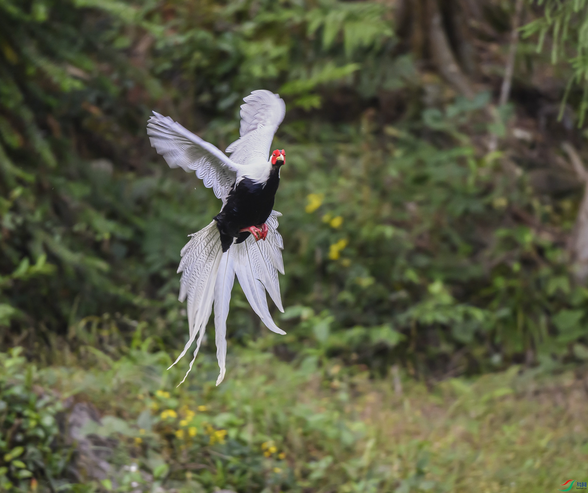 DSC_7101.jpg5.jpg1.jpg