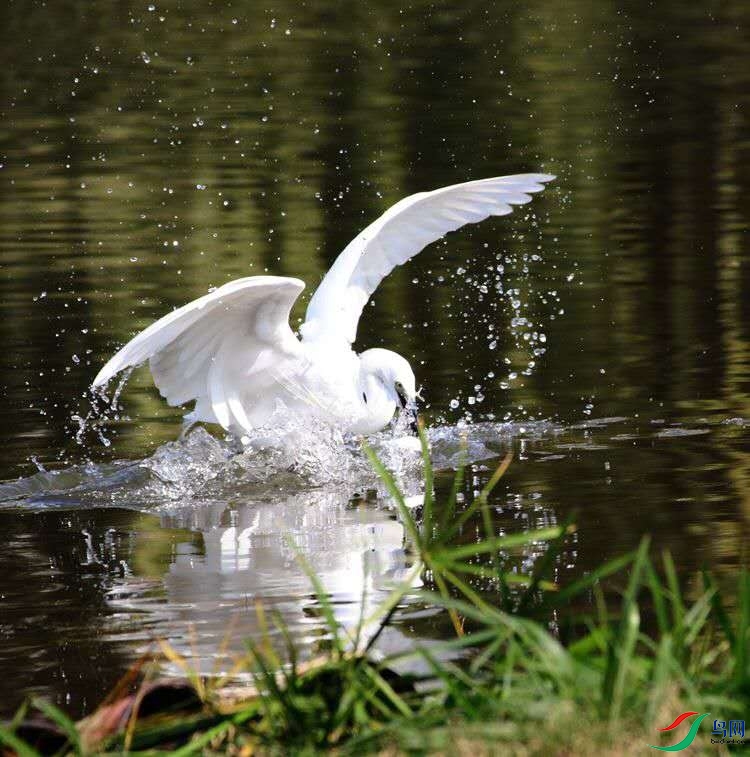 QQͼƬ20251201100510.jpg