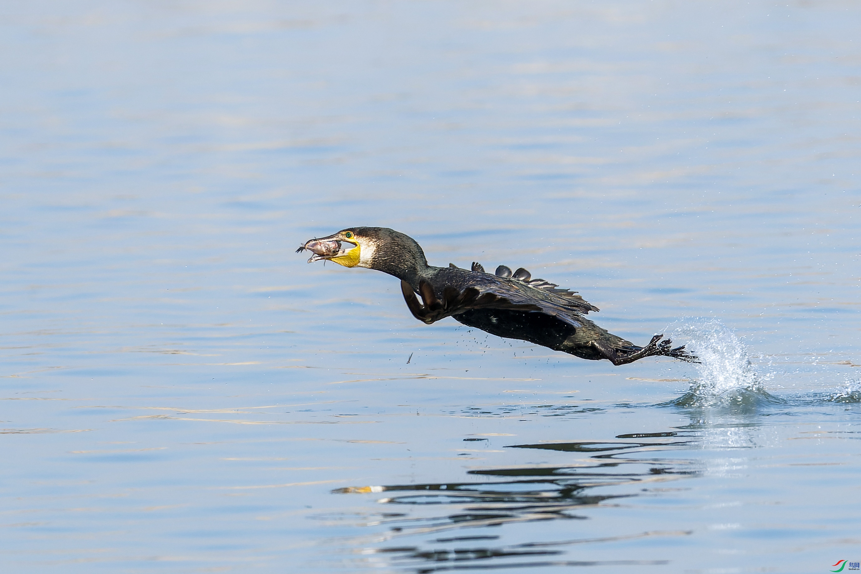 2X2_6967-CR2_DxO_DeepPRIME-1.jpg