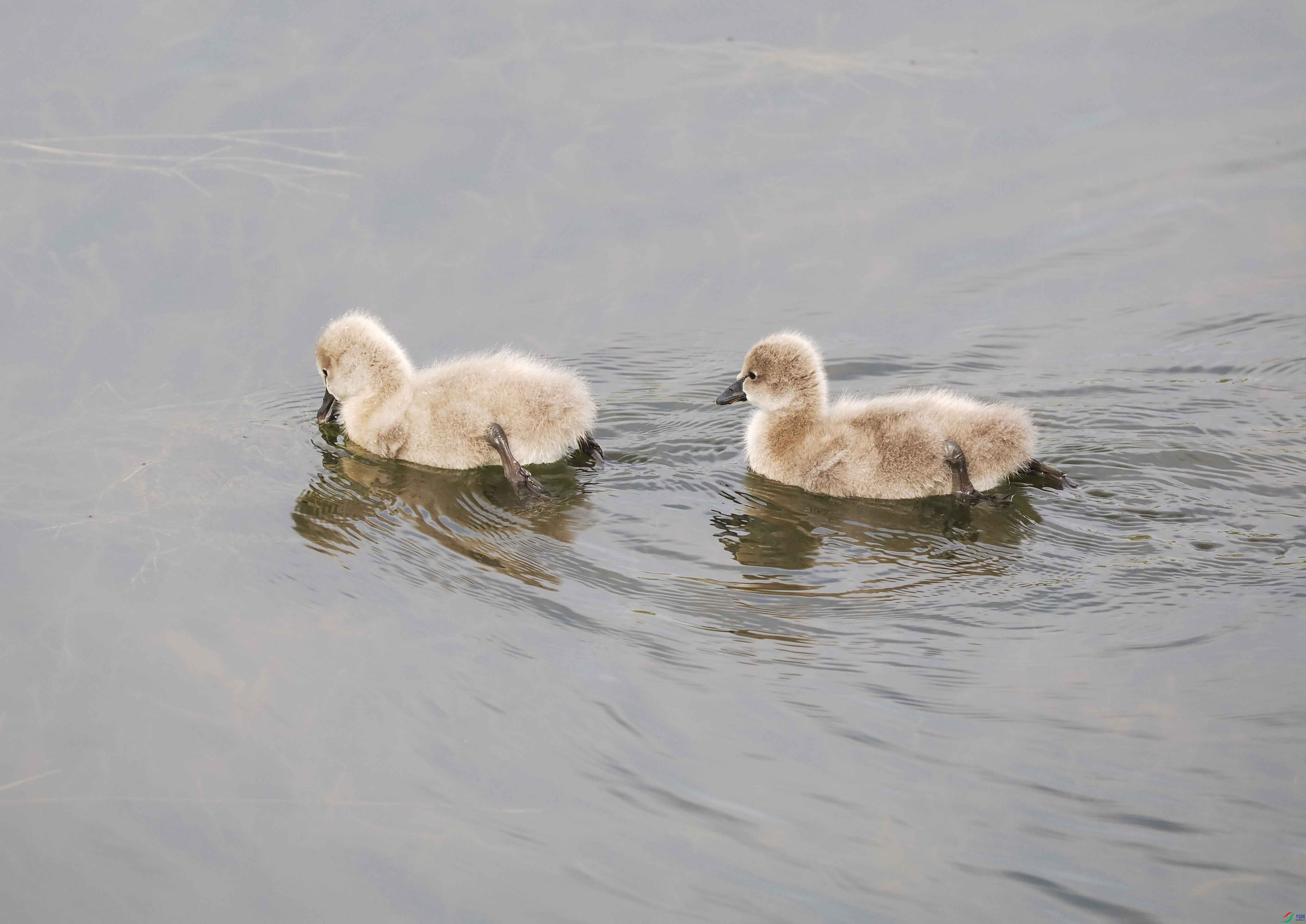 1-xtPB150488 ����.jpg