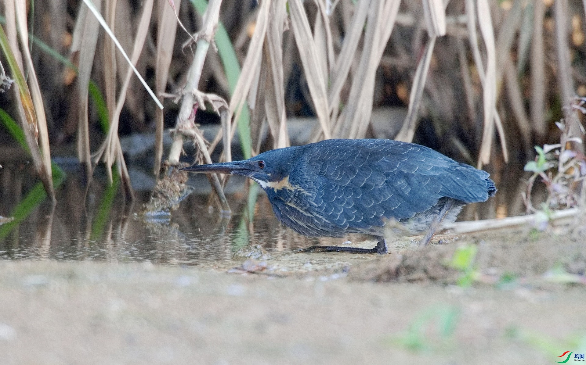 DSC_9088.jpg