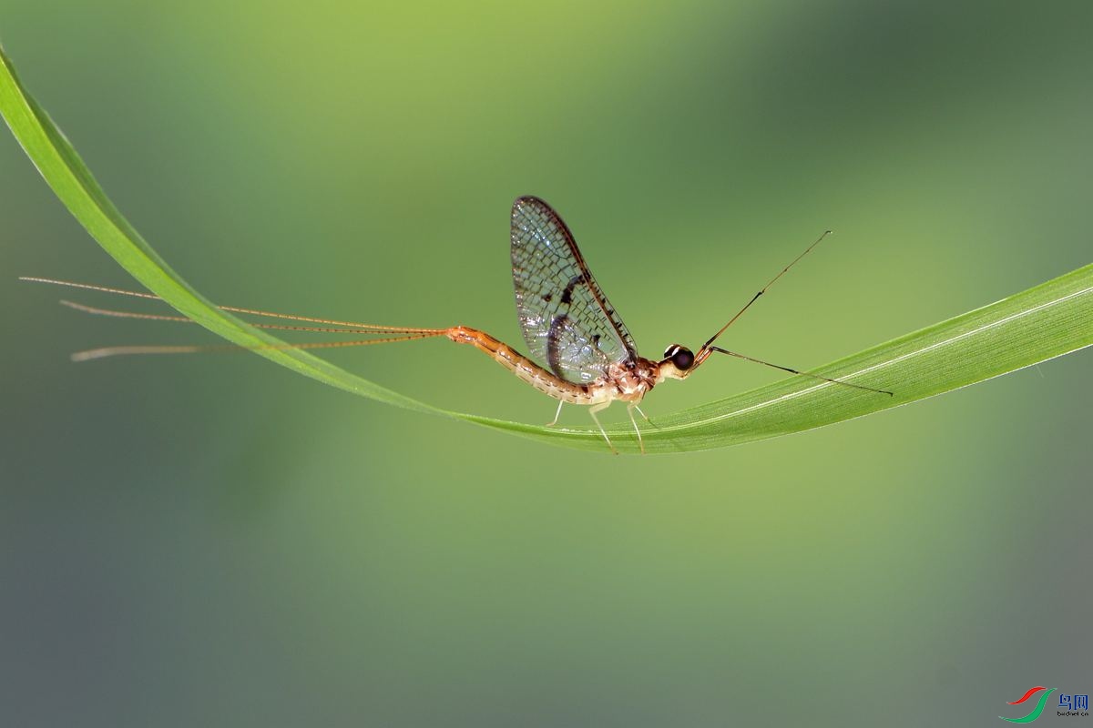 DSC_5161_����.jpg