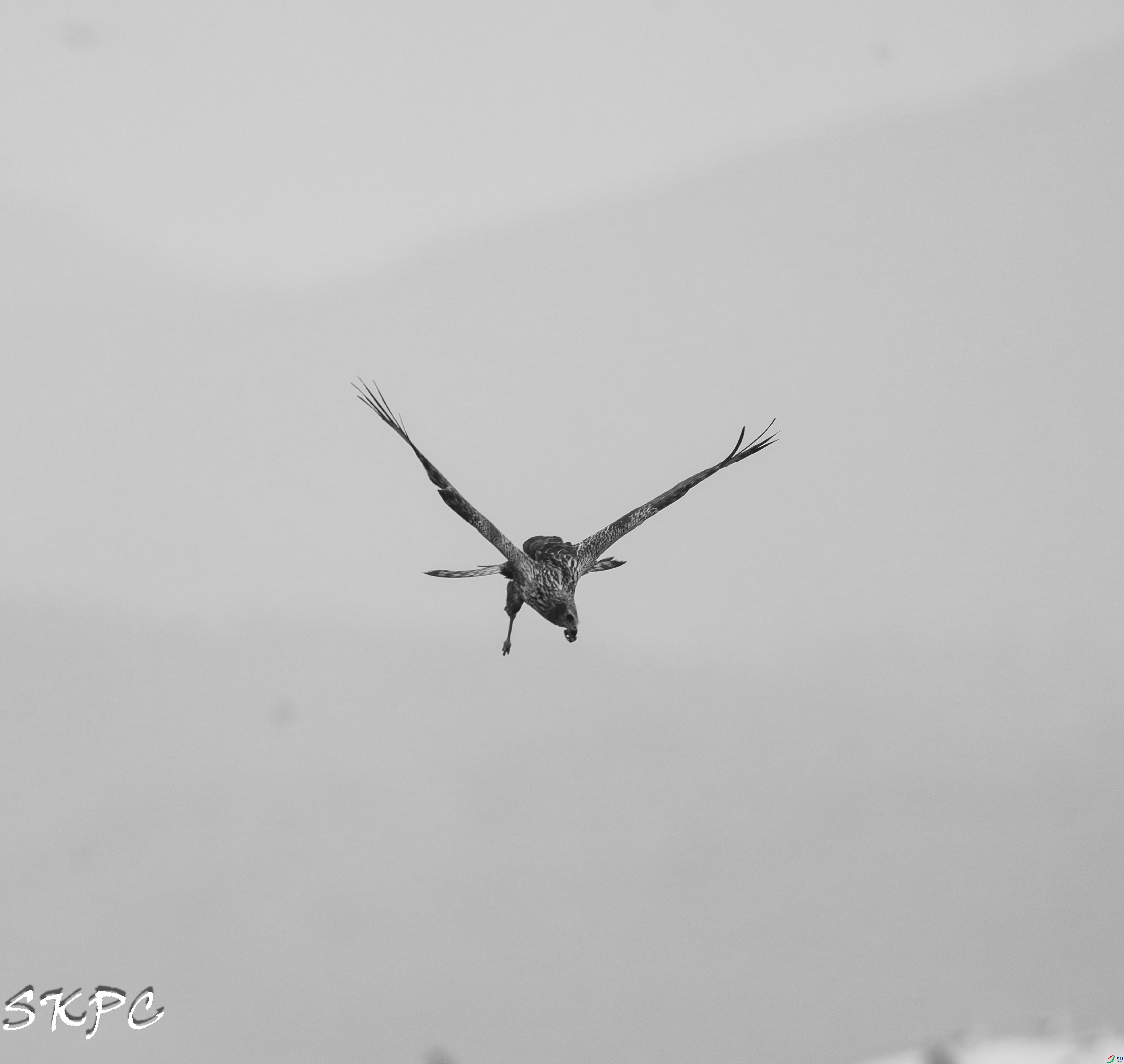 DSC09791.jpg