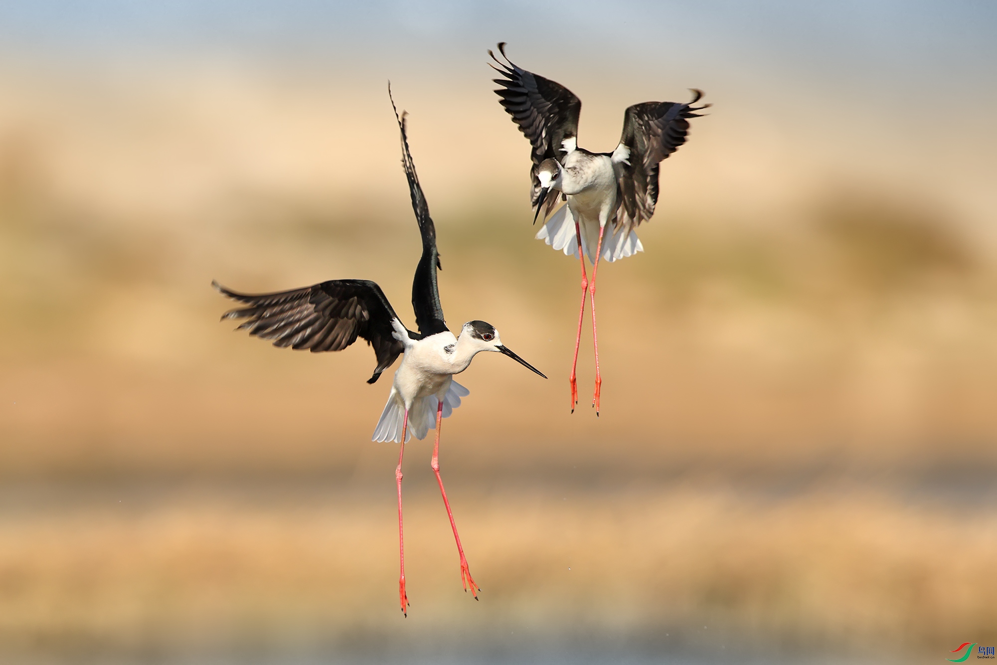 R5M29327 -����.jpg