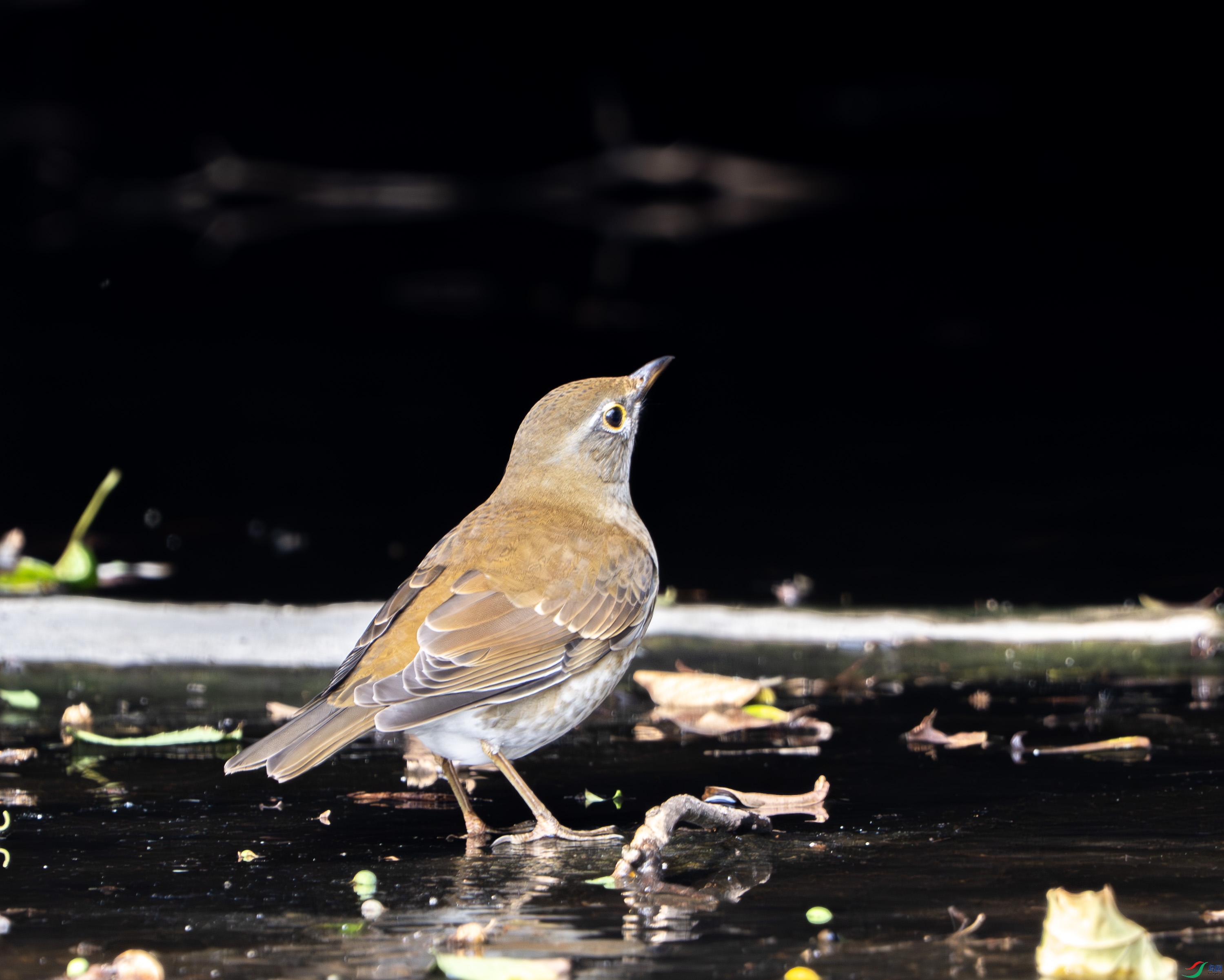 �׸��-14.jpg