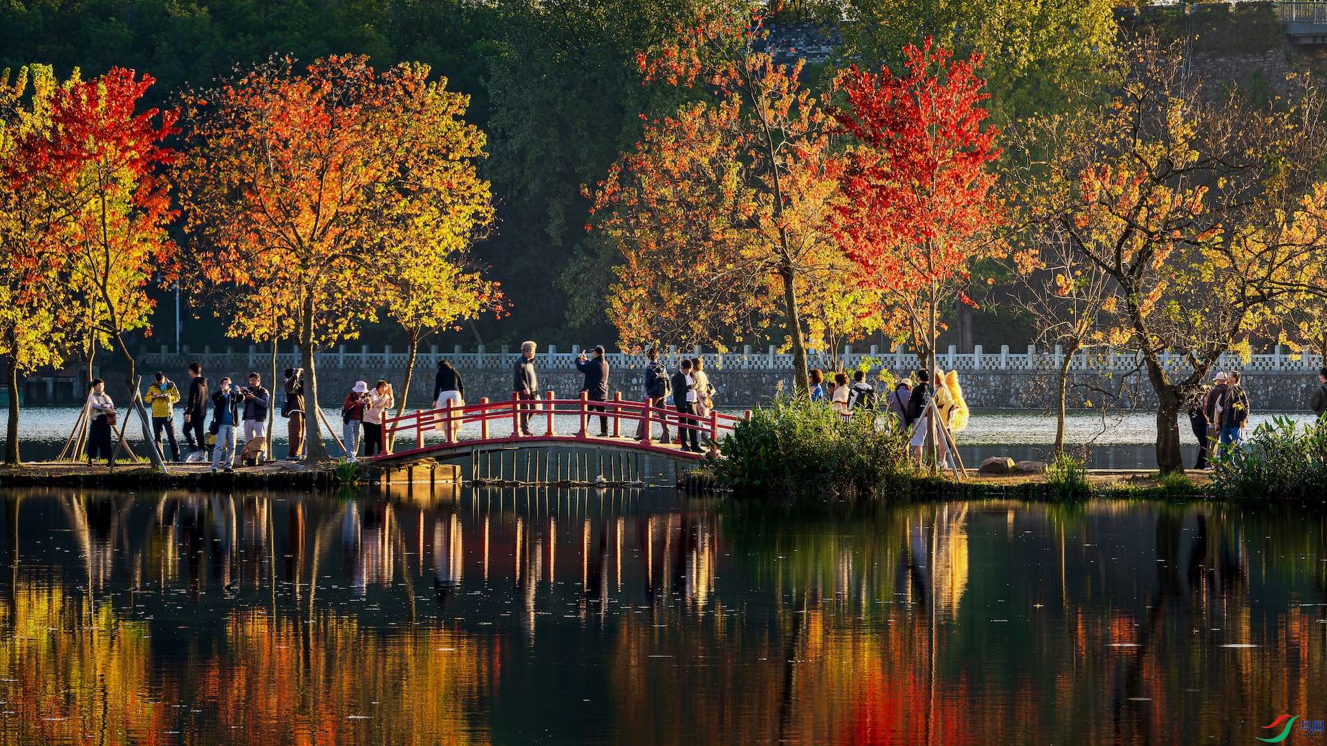 1_DSC4860-����ǿ-NR-1-1 2.jpeg