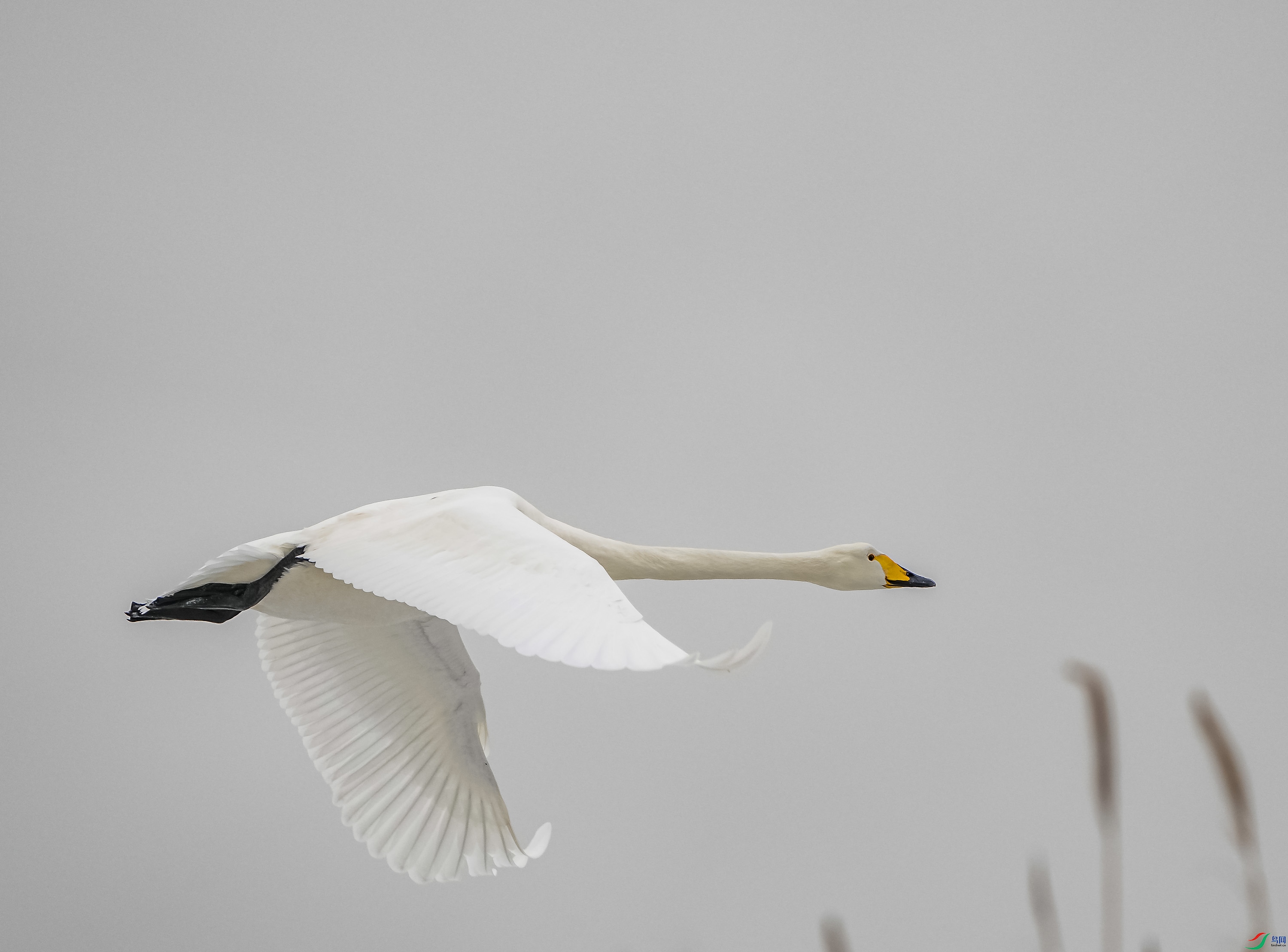 �����-11 (2).jpg