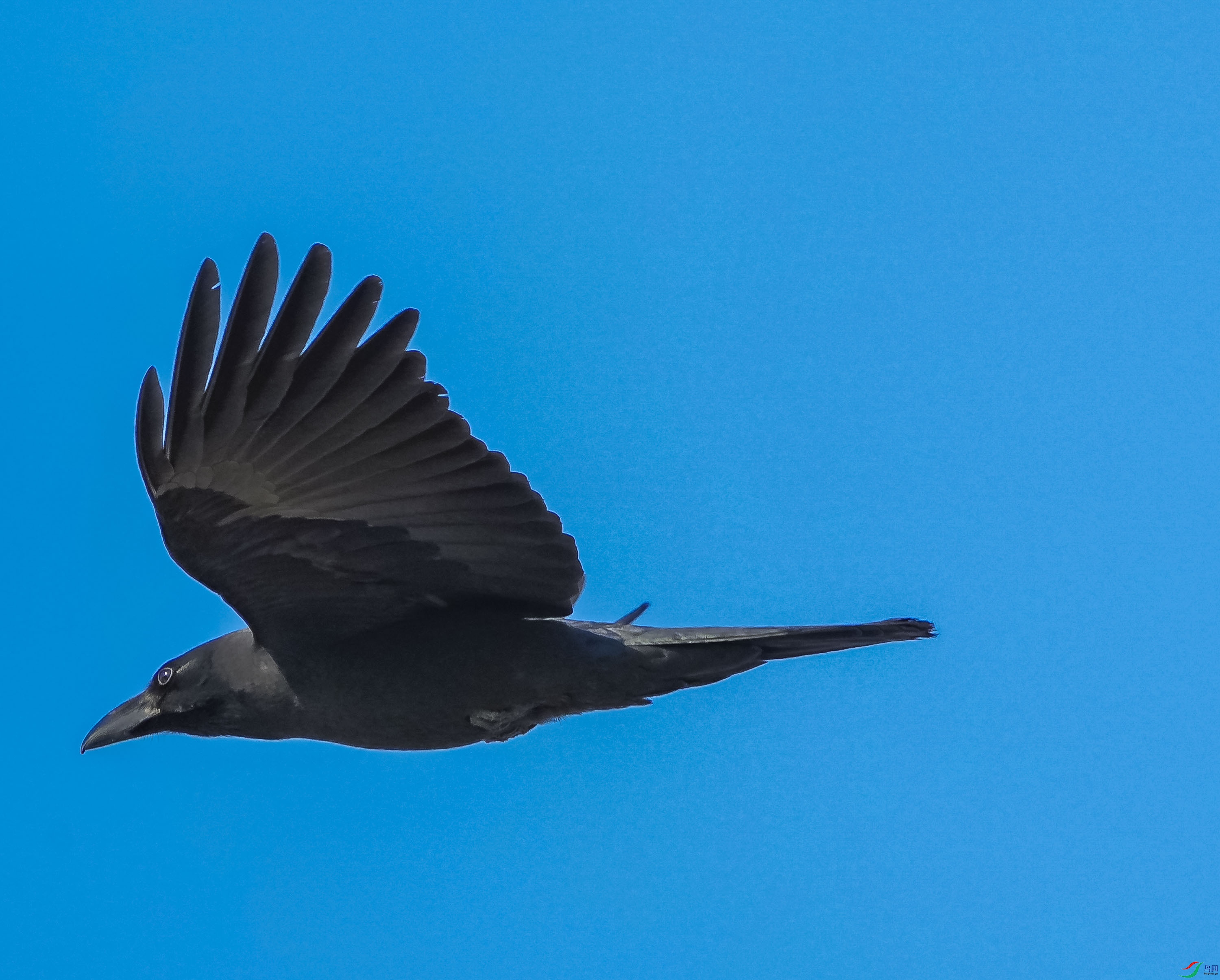 ������ѻ-6 (2).jpg