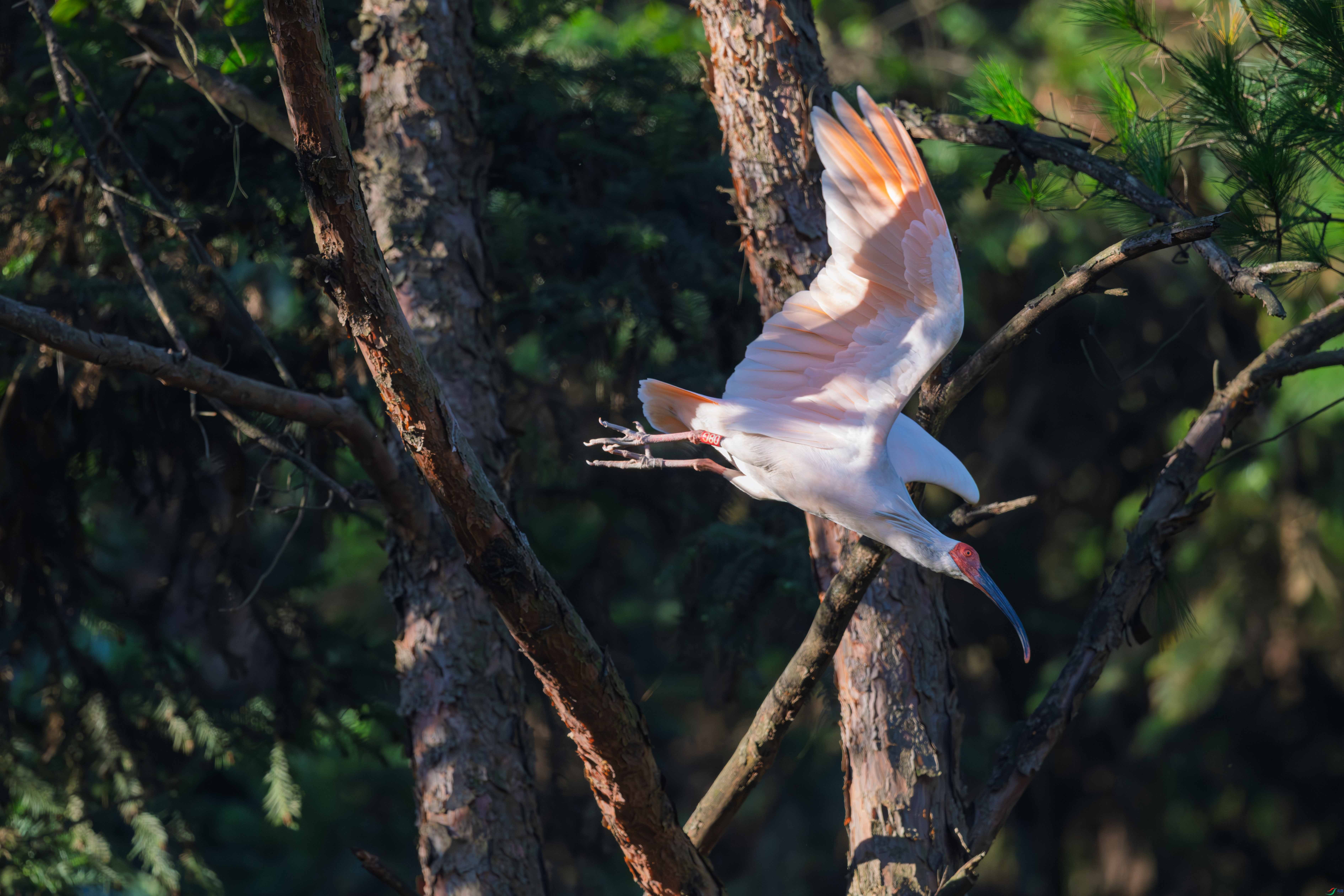 DSC_2026_1.JPG