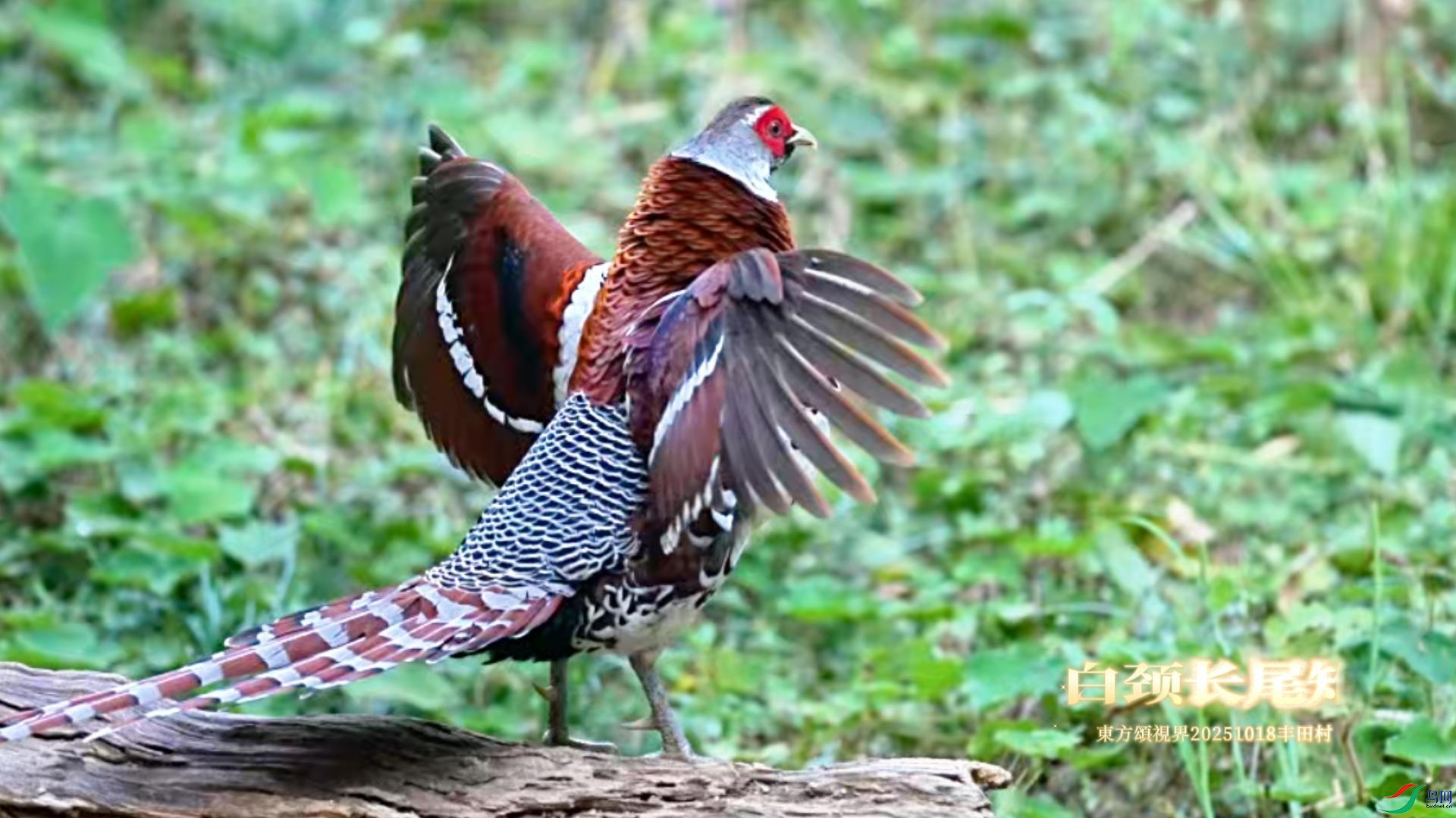 12��1�� �׾���β��-����.jpg