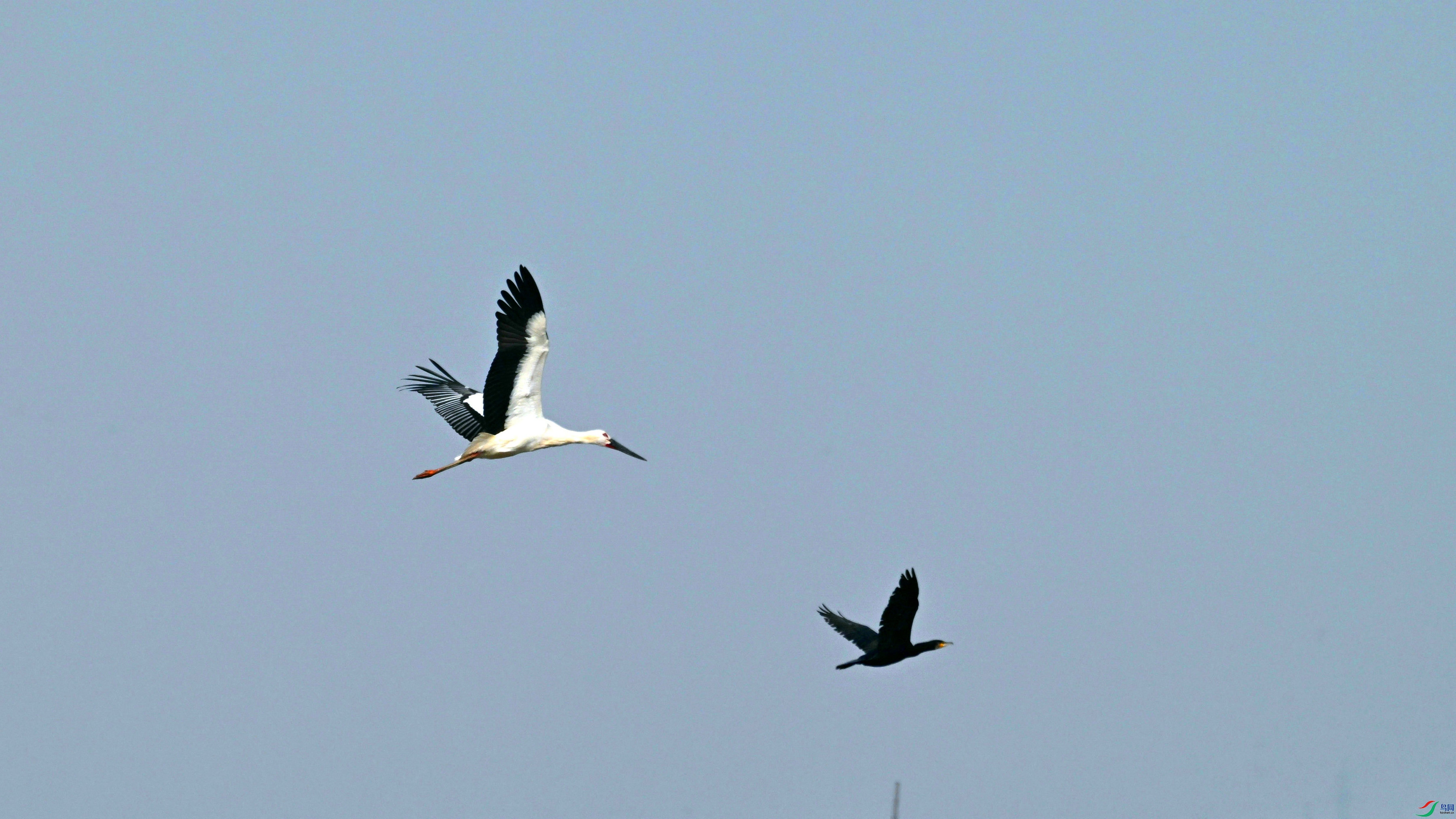 DSC_0602.JPG