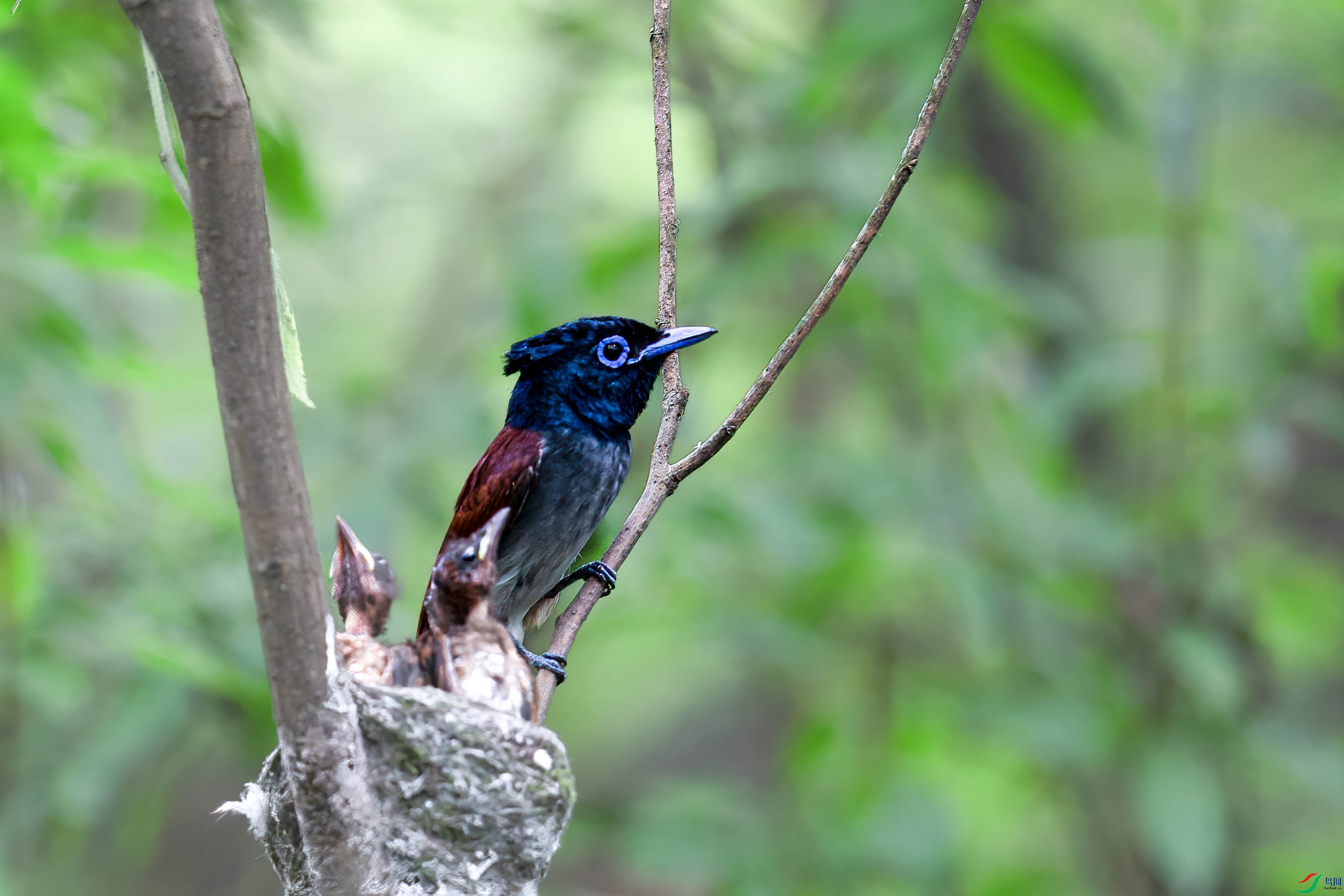 AQ4P0424-1.jpg