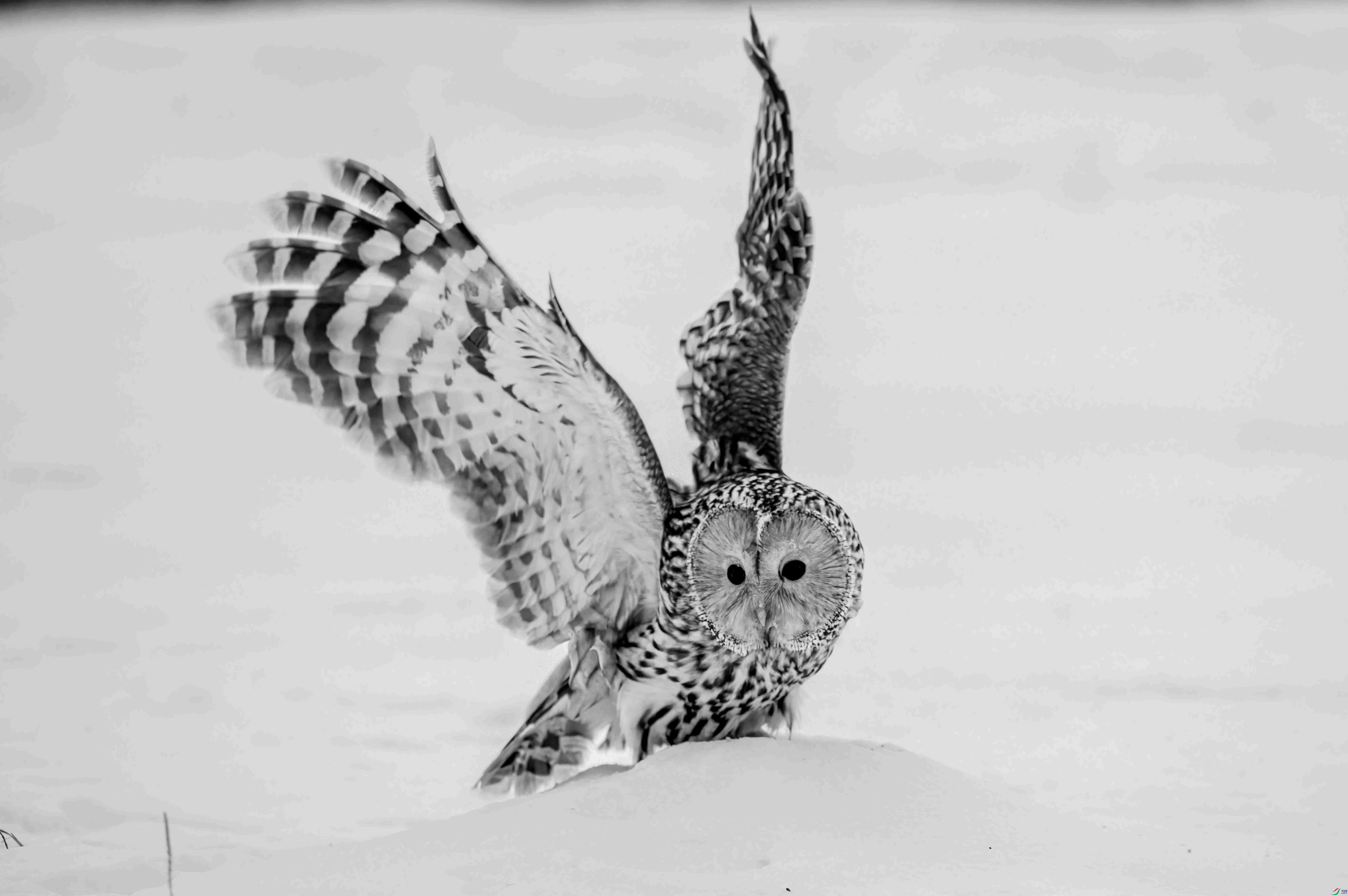 1DS_4626 ����_����.jpg