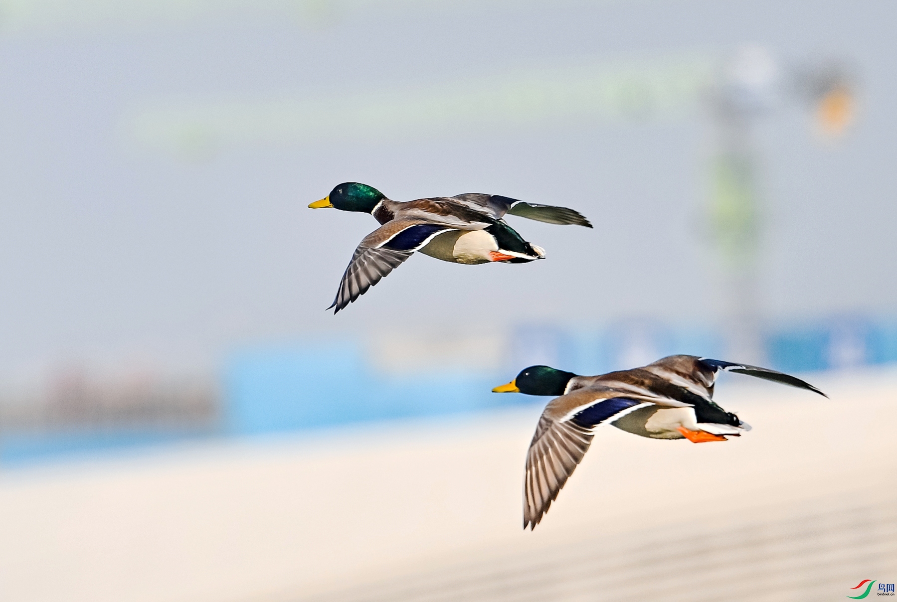 DSC_0166---_conew1.jpg