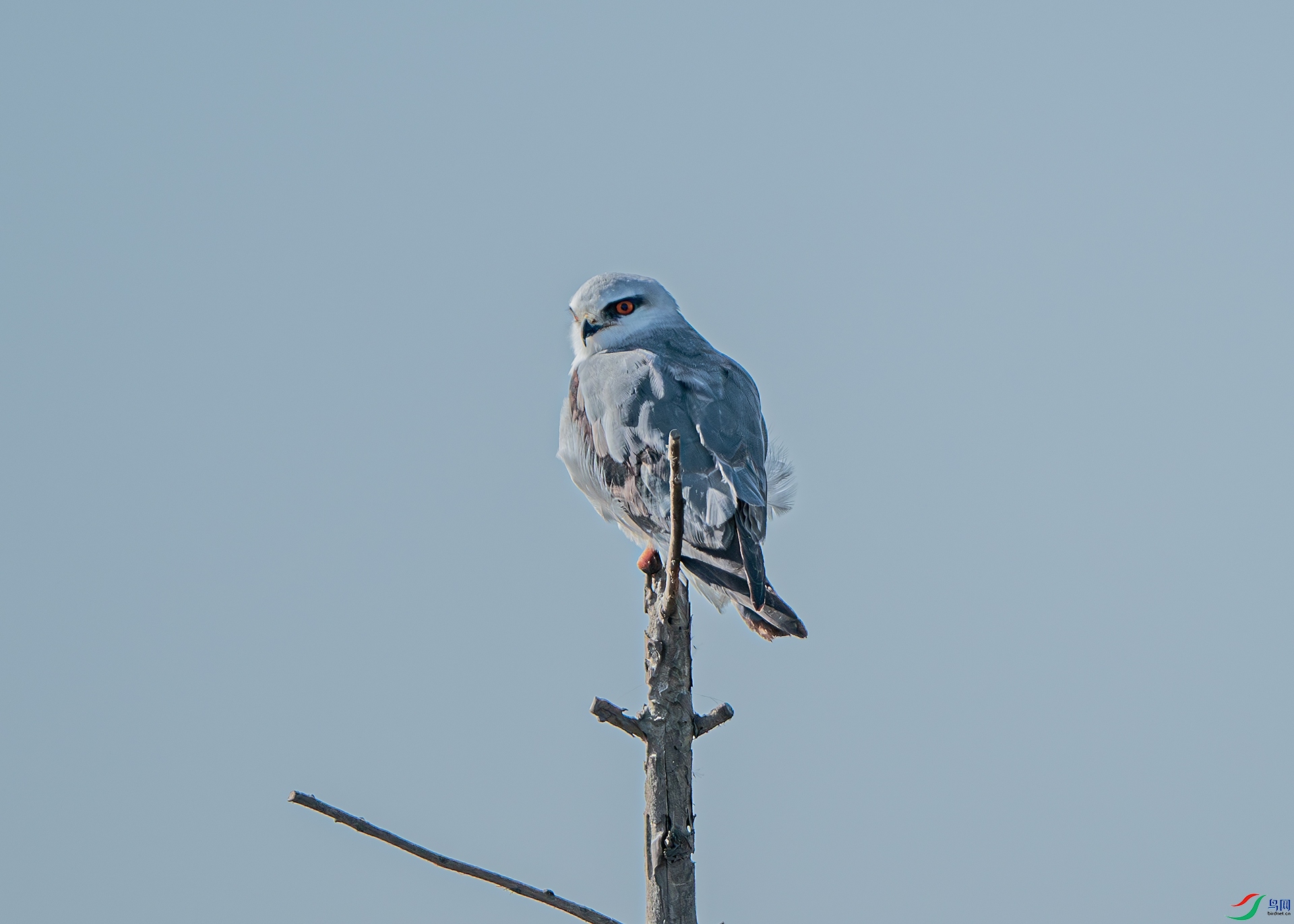 DSC_0184-����ǿ-NR ����.jpg