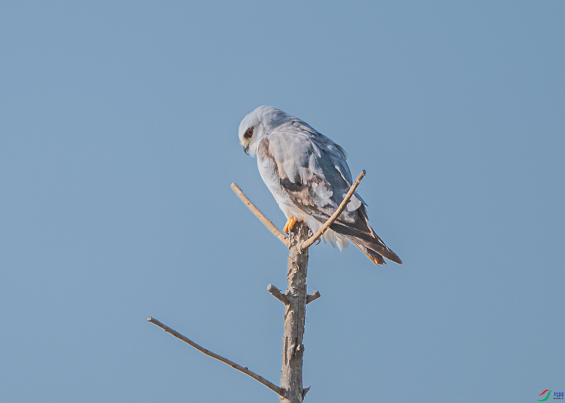 DSC_0192 ����.jpg