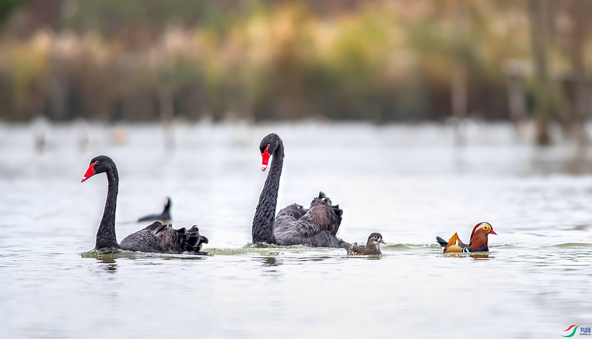 _S7I5064 ����-Sh----1 .jpg