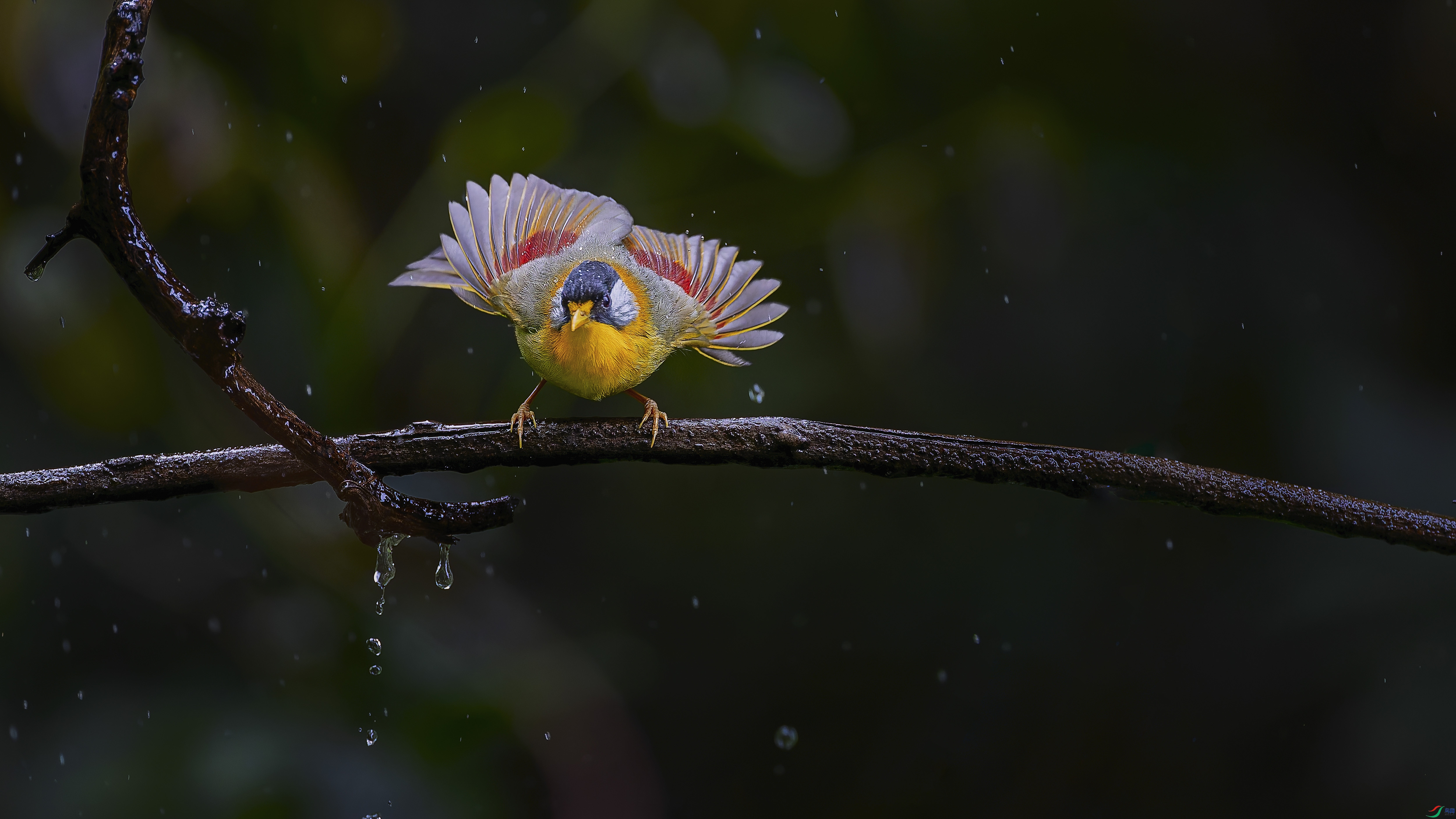 ������˼��