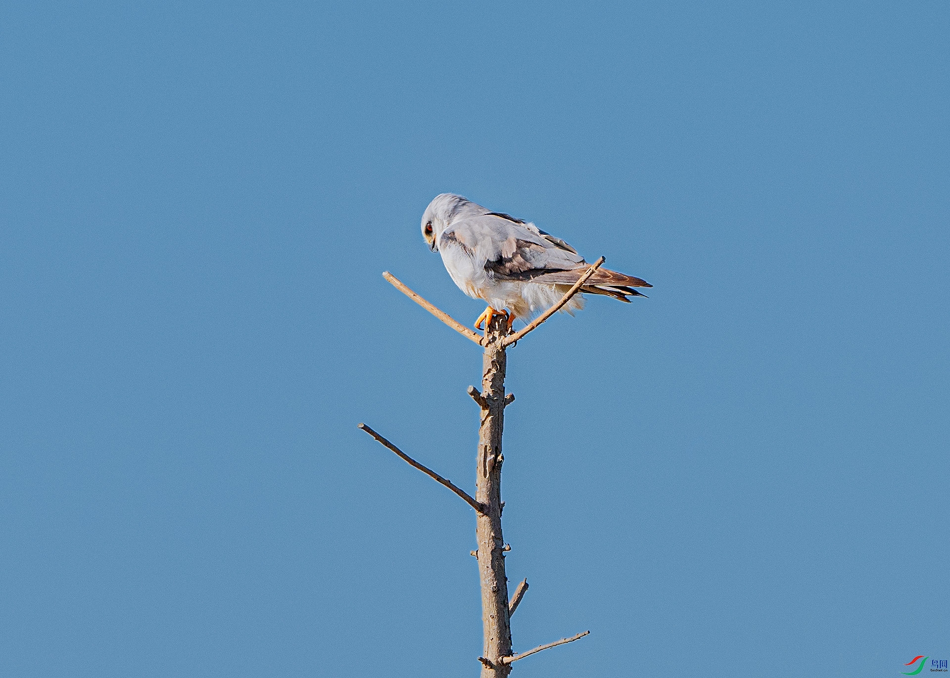 DSC_0219 ����.jpg