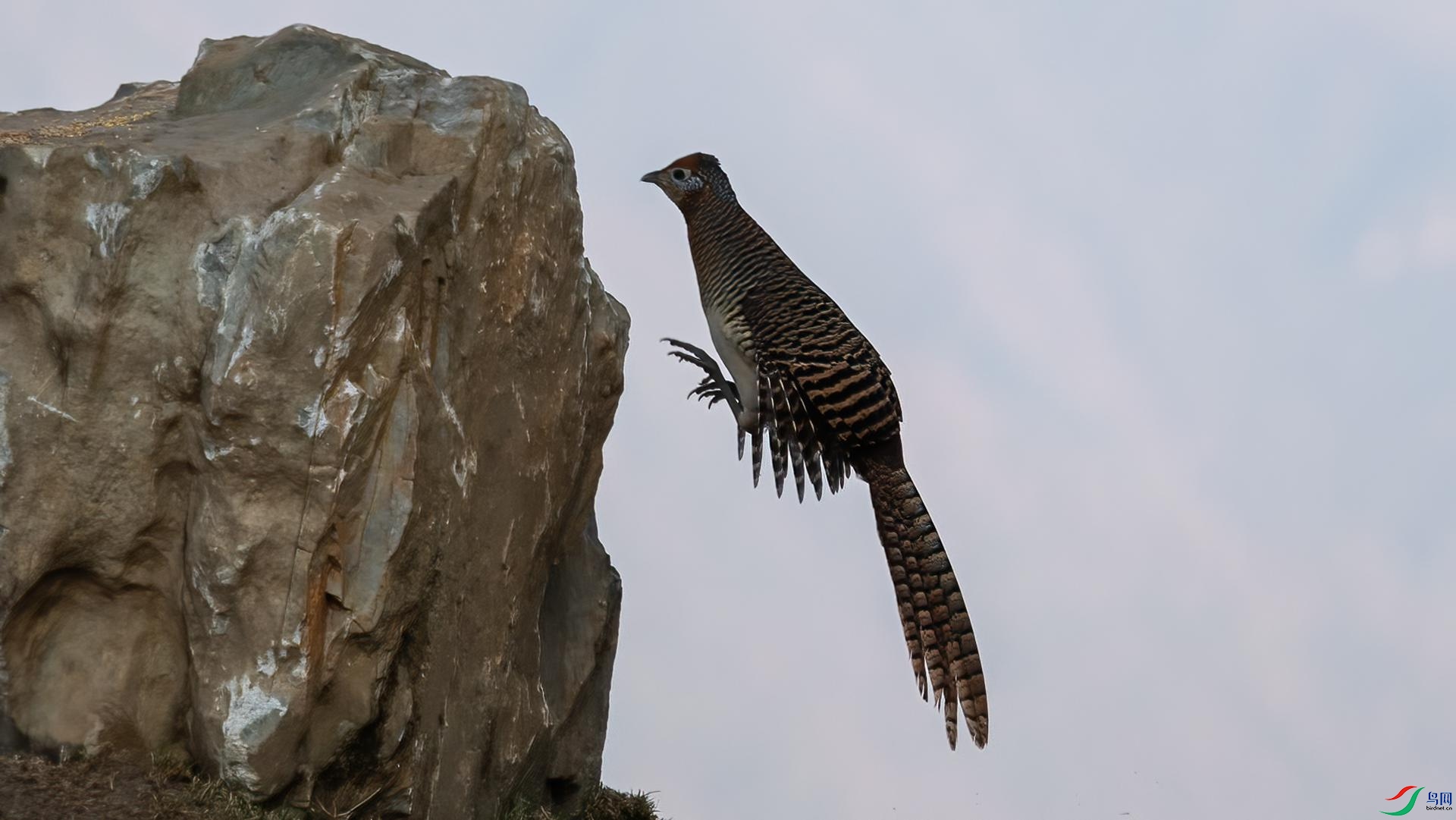 WGB_2137 ����.jpg