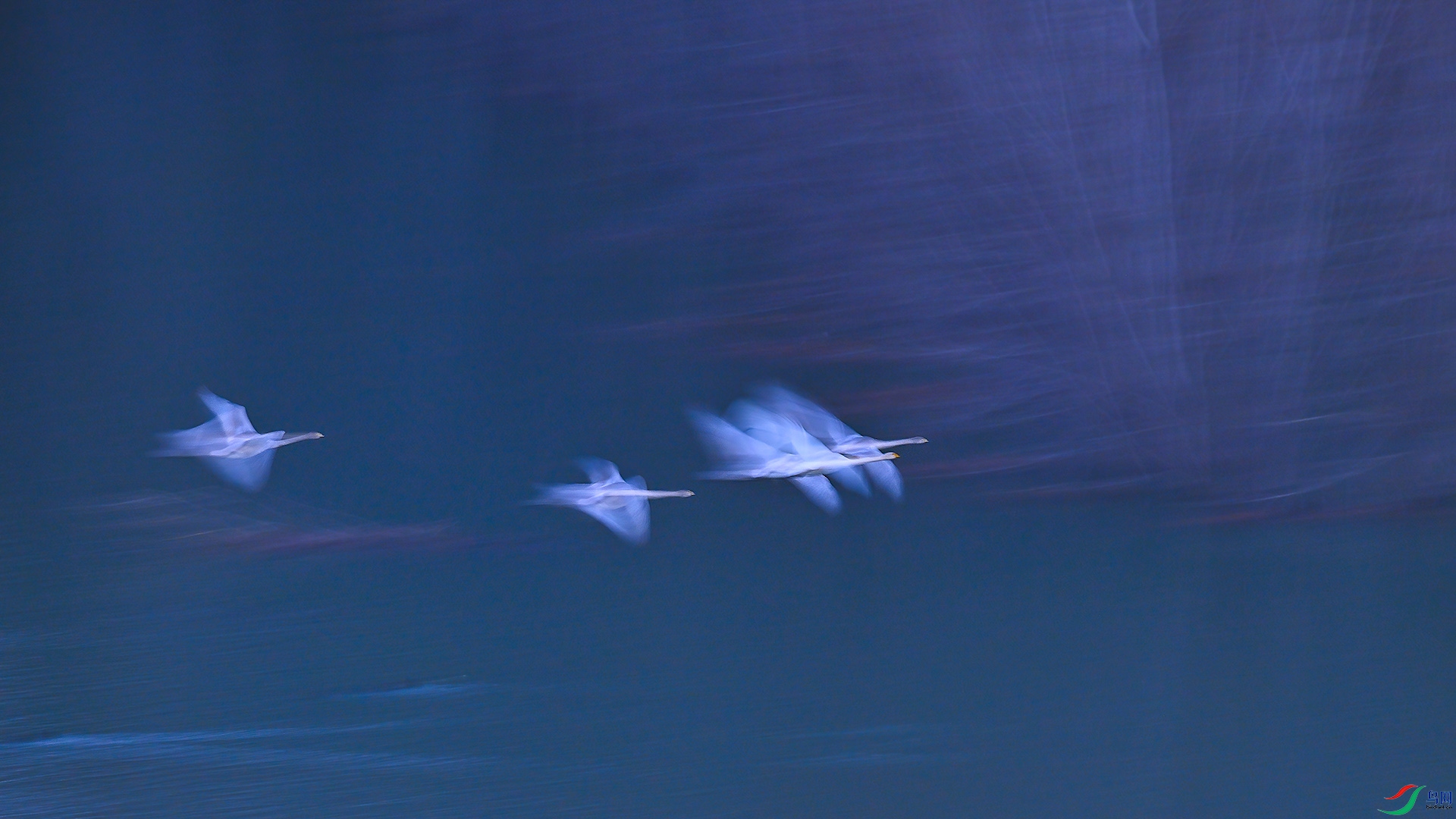 XHH_8206 ���� 3.jpg