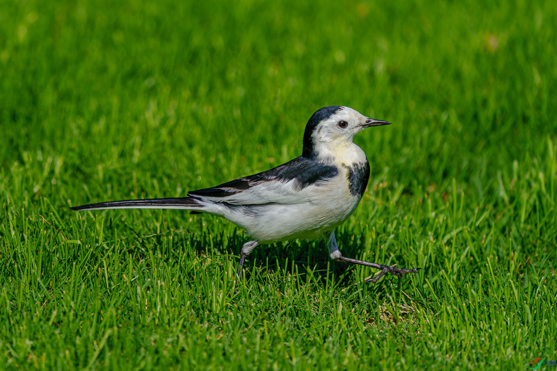 DSC04909-1.jpg