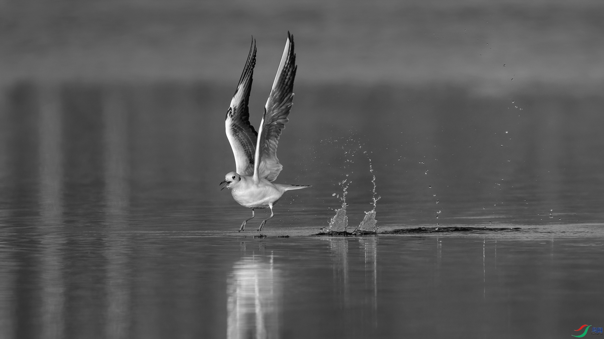 DSC06183 ���� 2.jpg