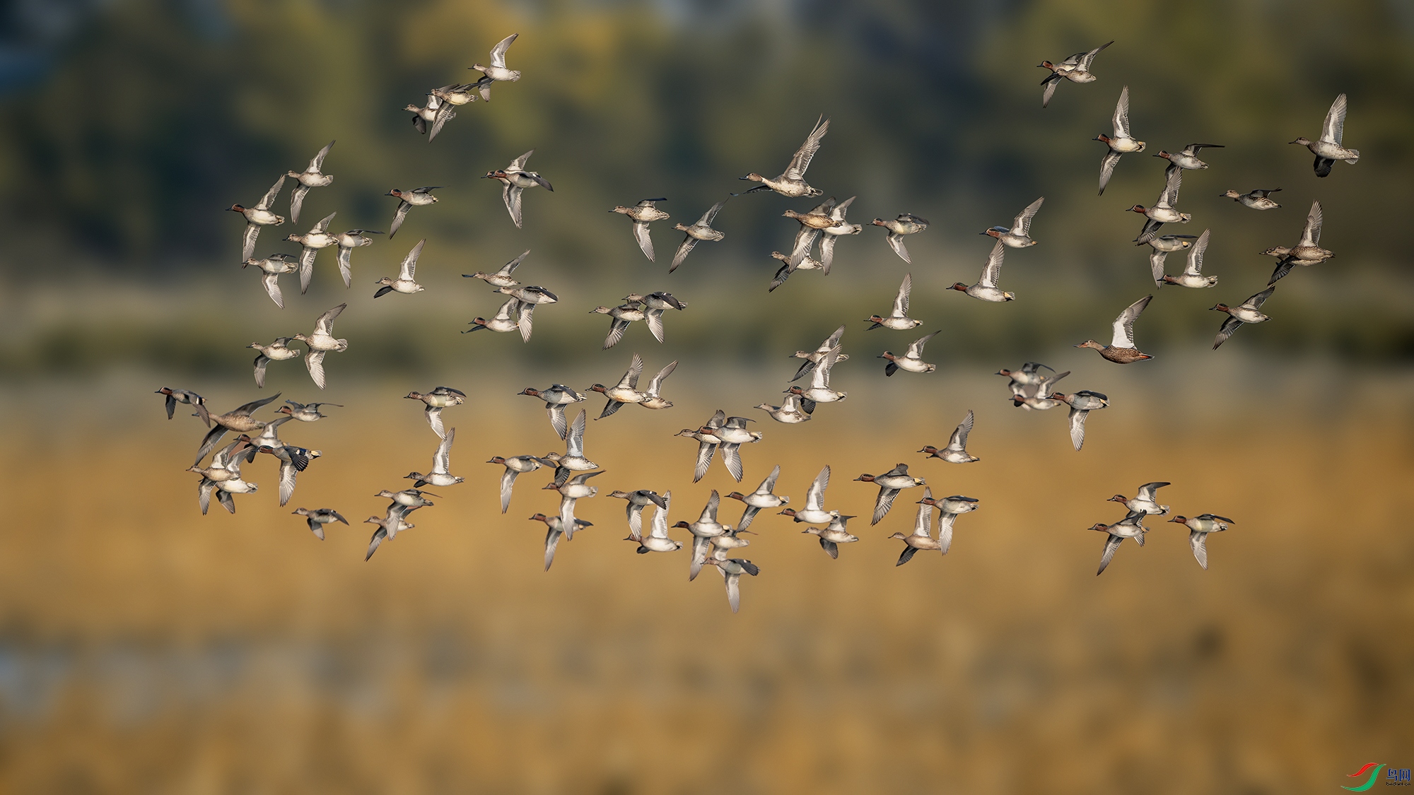 _DSC0987 ����С.jpg