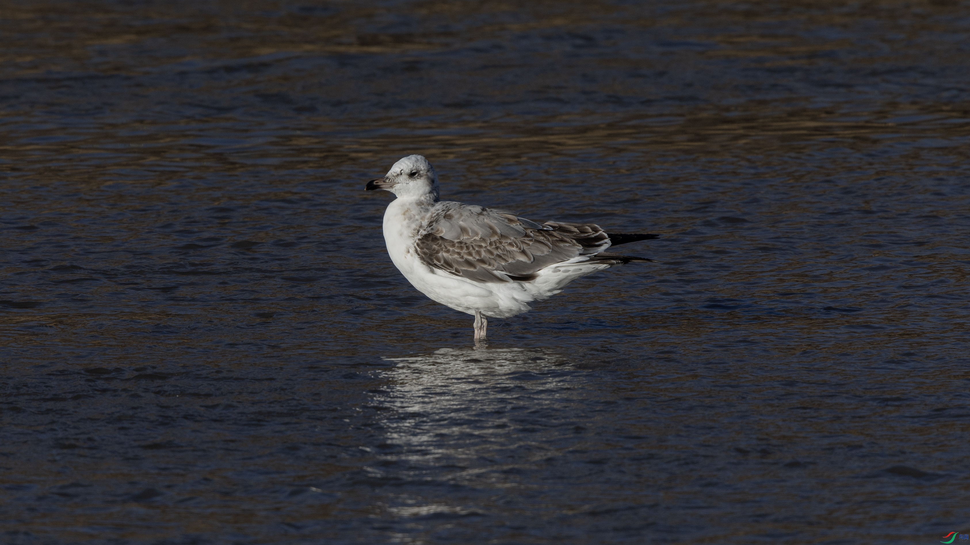 0O7A7042 ����44.jpg