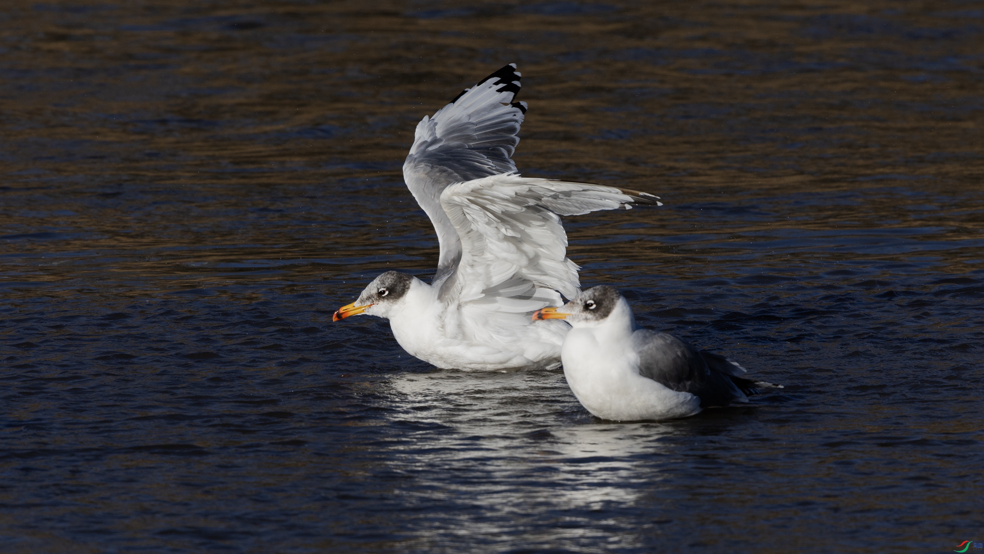 0O7A6992 ��44.jpg