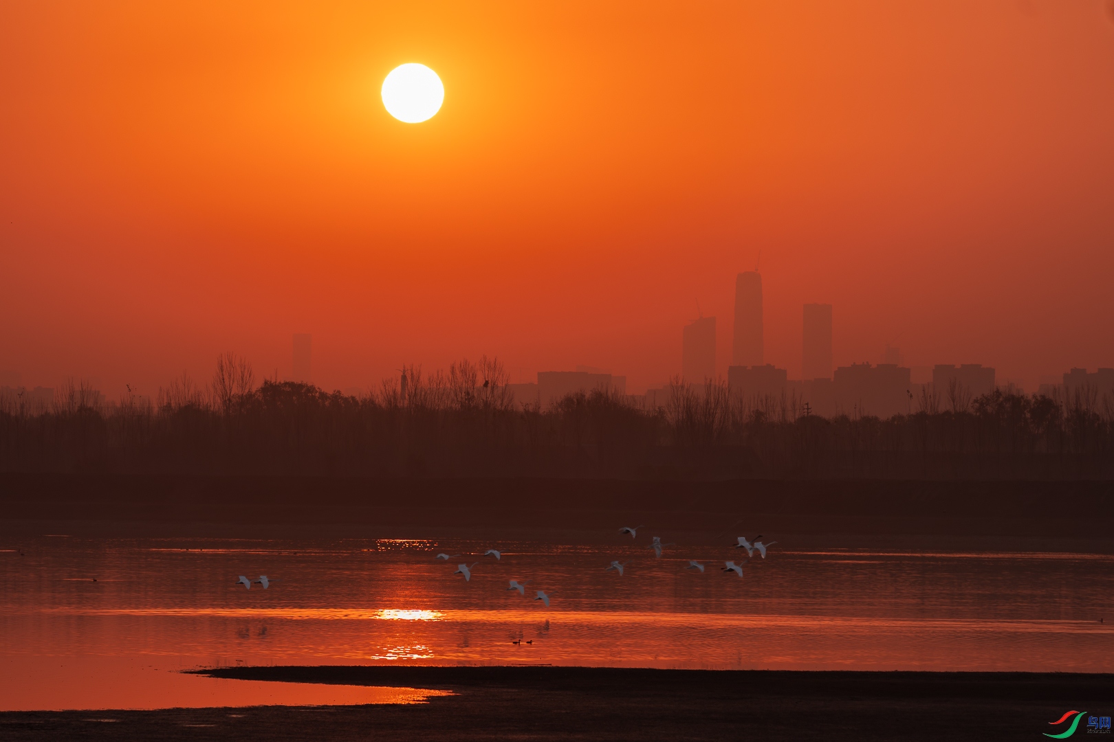 C2040.jpg