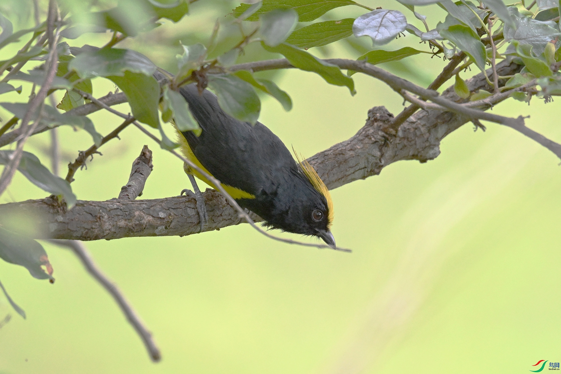 DSC_9542.JPG