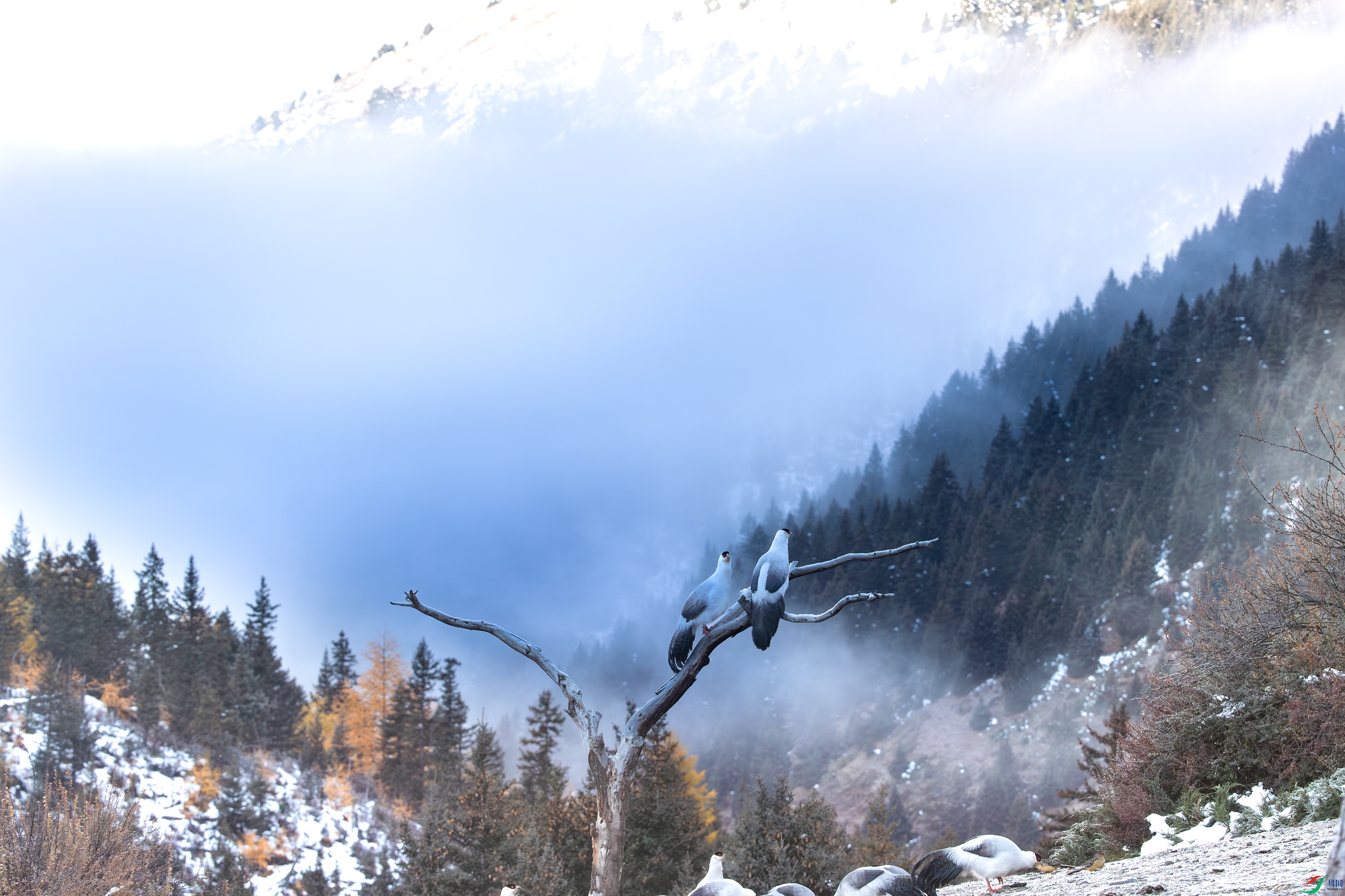 A15I9720 ����.jpg