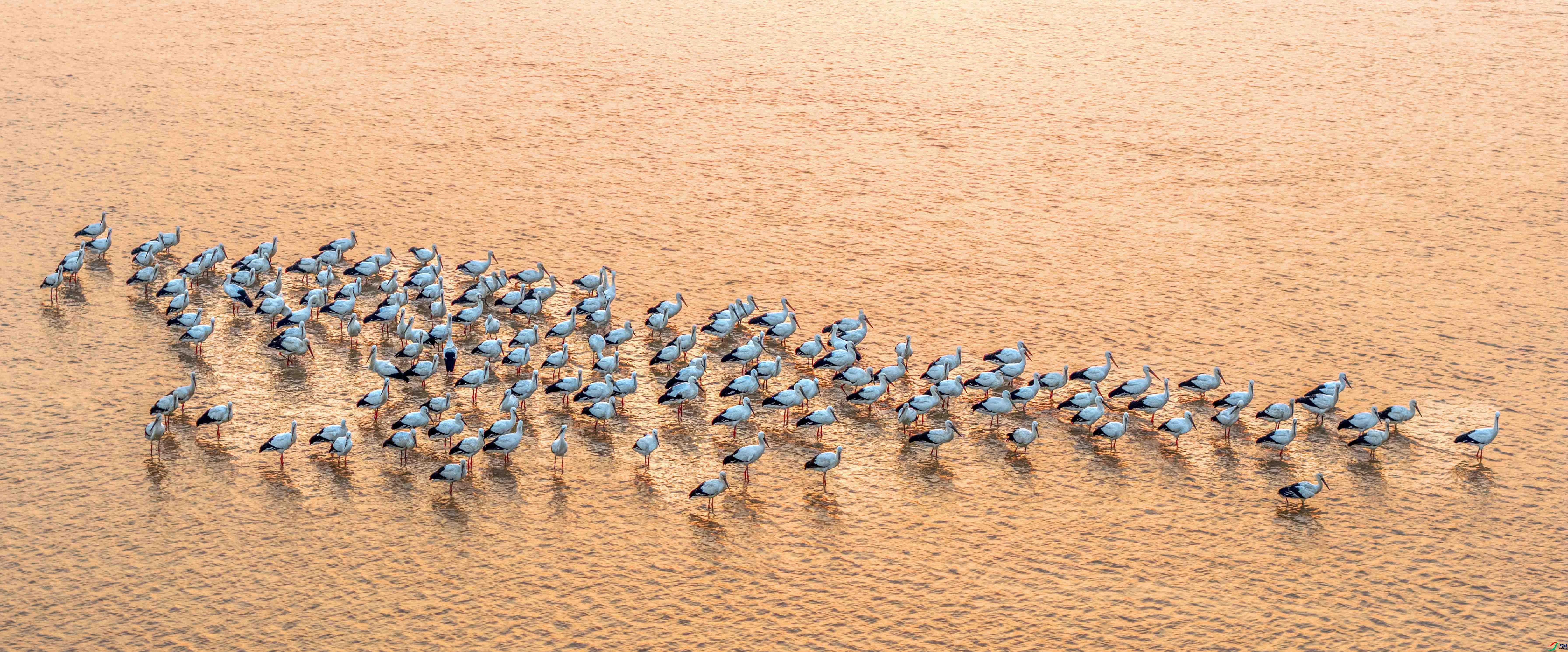 DJI_20251130071405_0163_D ����.jpg