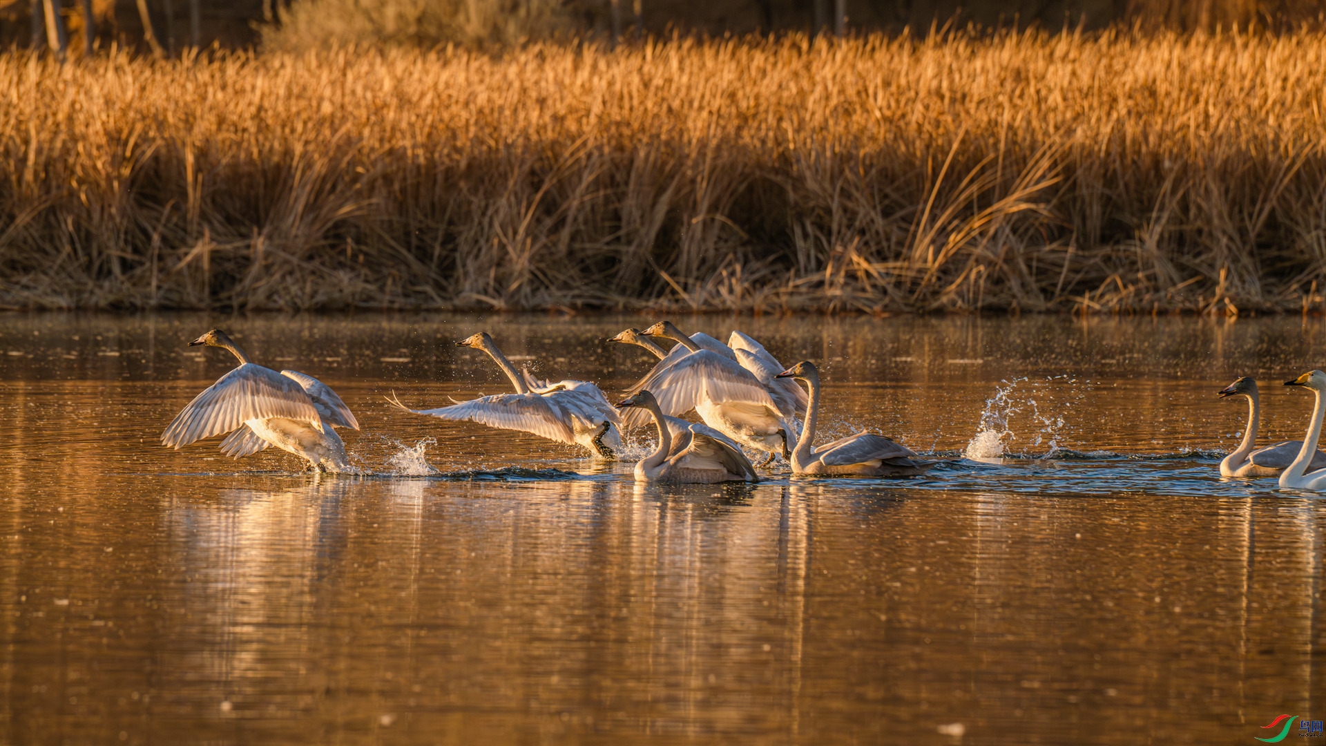 _DSC4015 ����_����.jpg