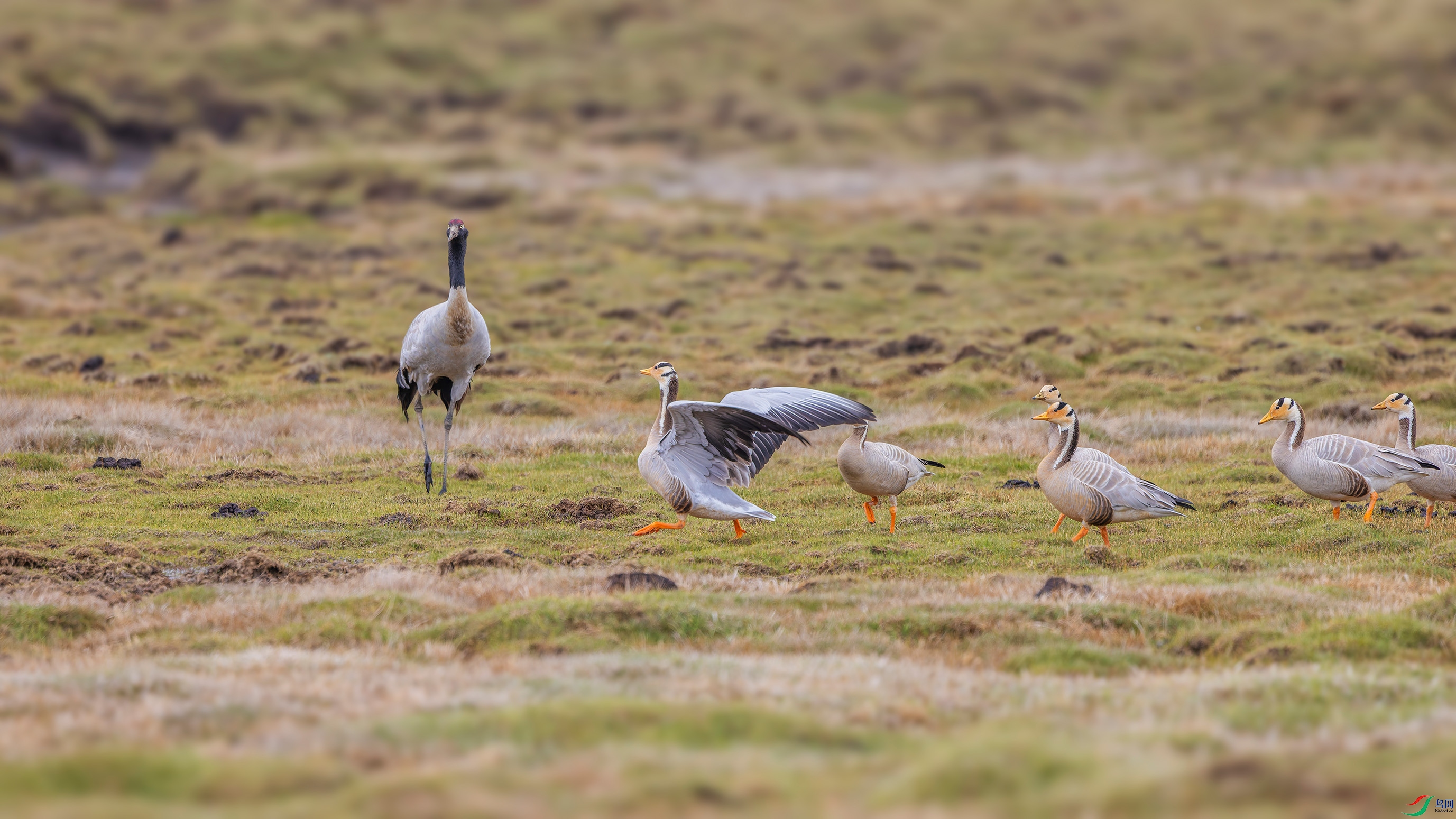 156A7937-DxO_DeepPRIME 3 ����.jpg