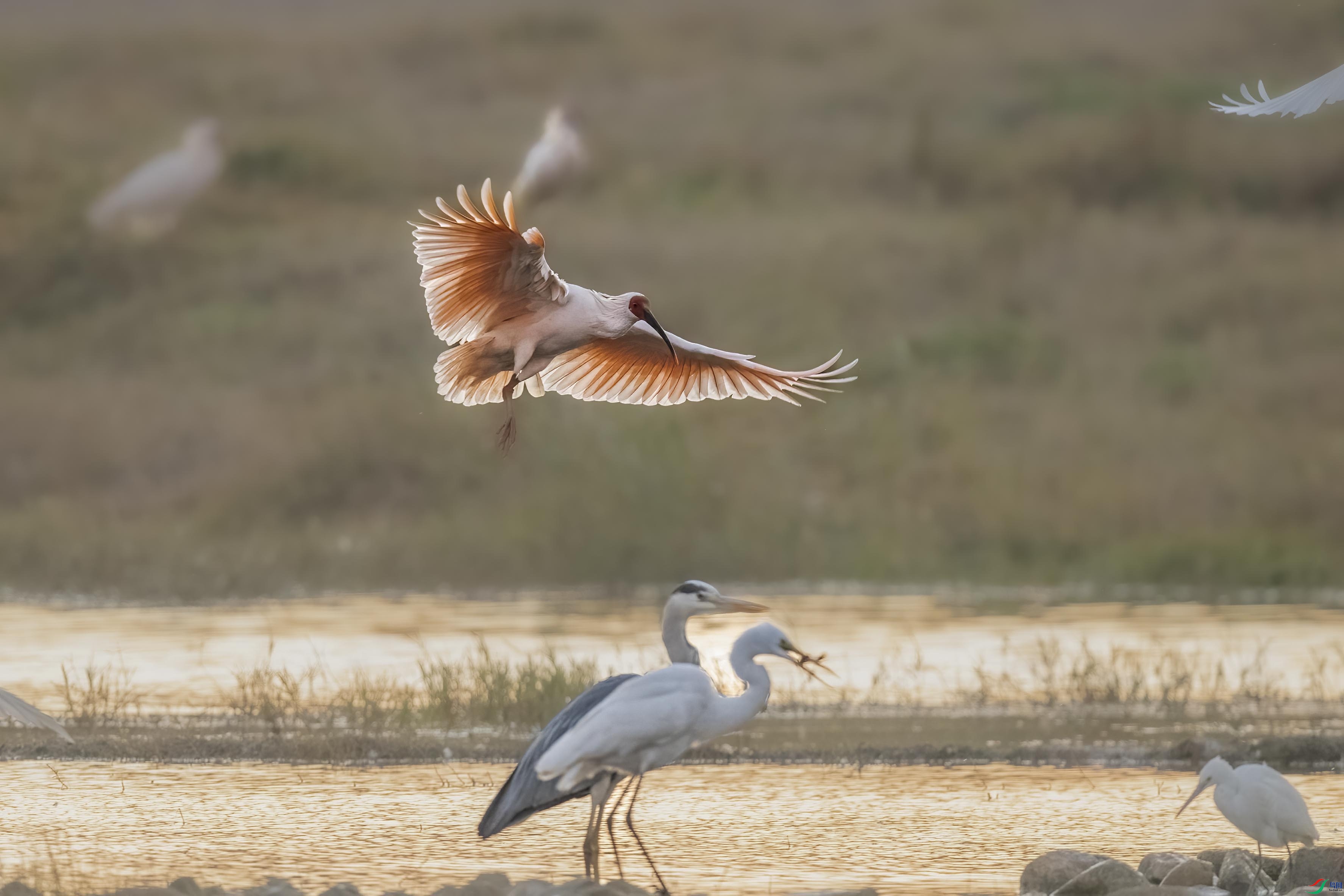 DSC_8192 ����.jpg