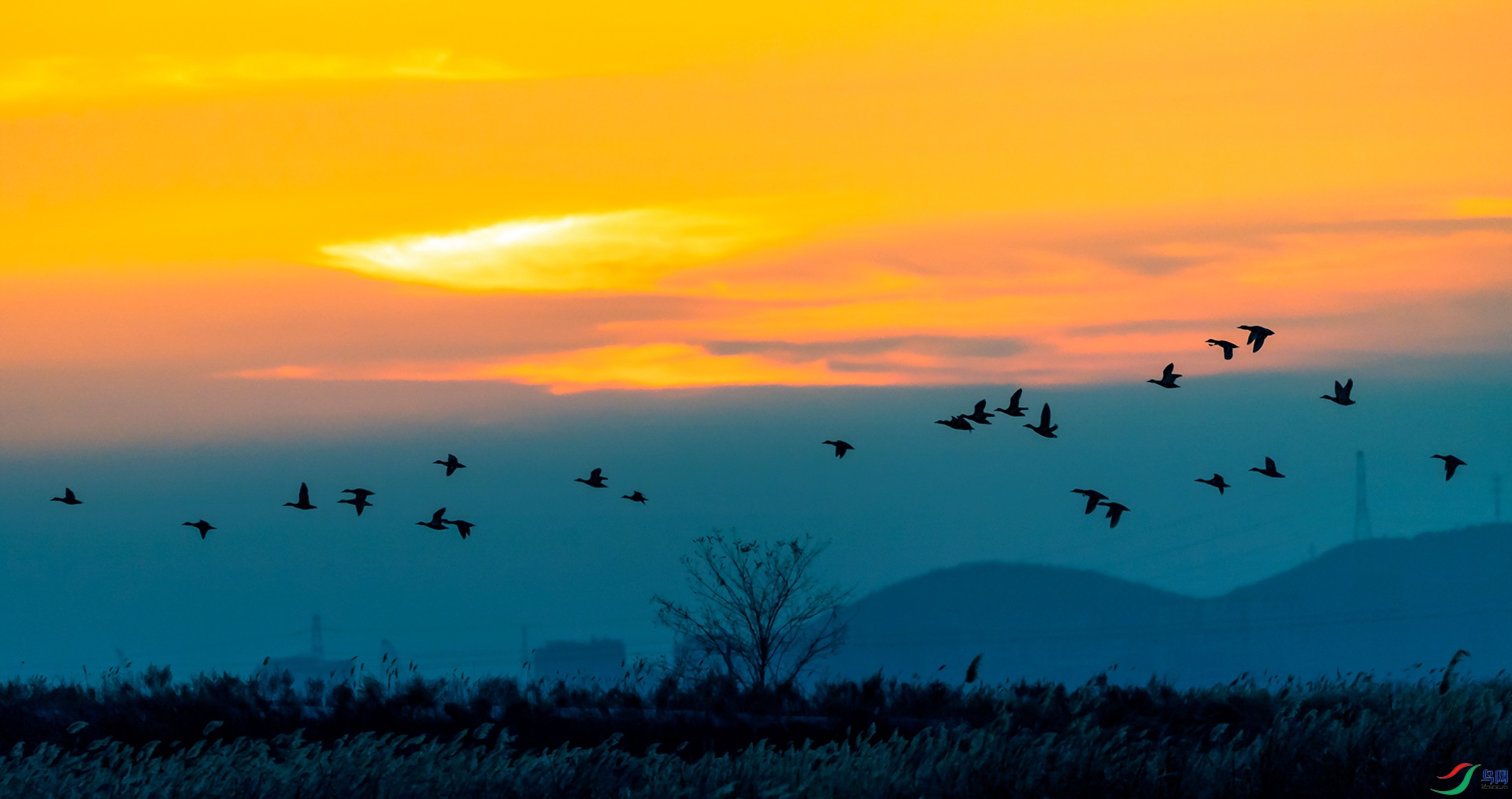 DSC_3222qq.jpg