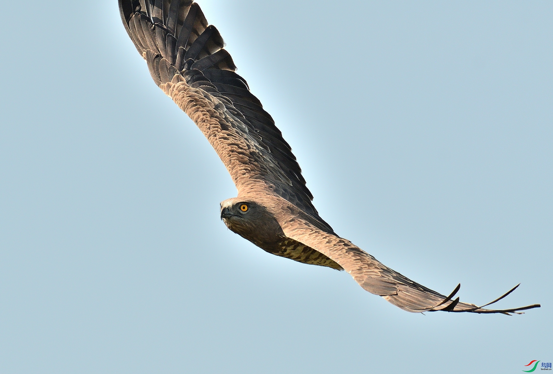 DSC_2069.JPG