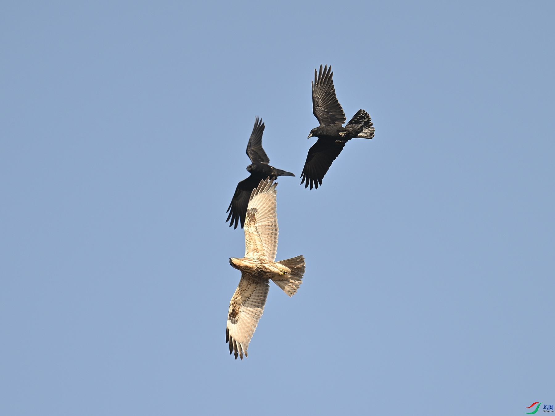 DSC_1266.JPG