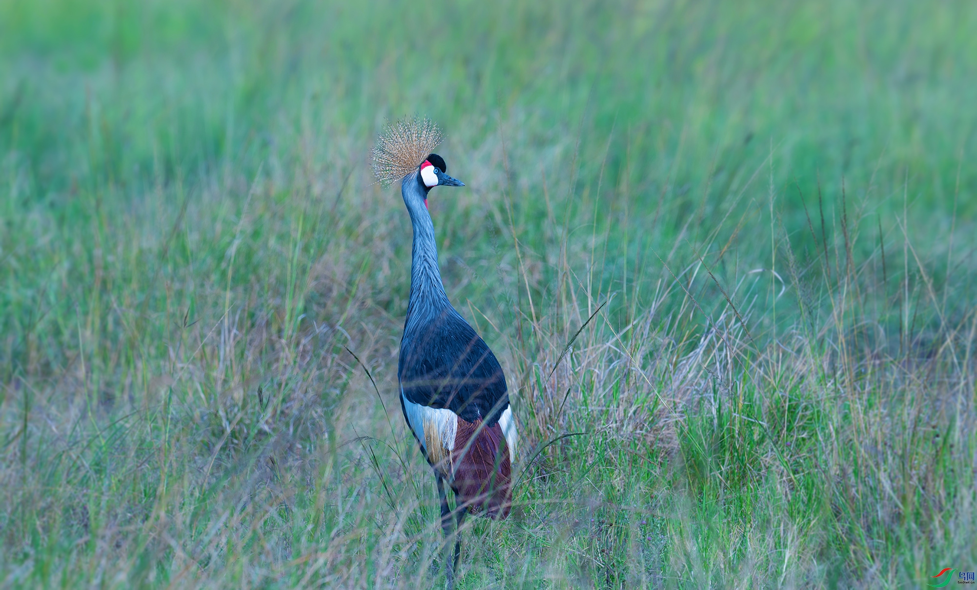 DSC_0276_.jpg