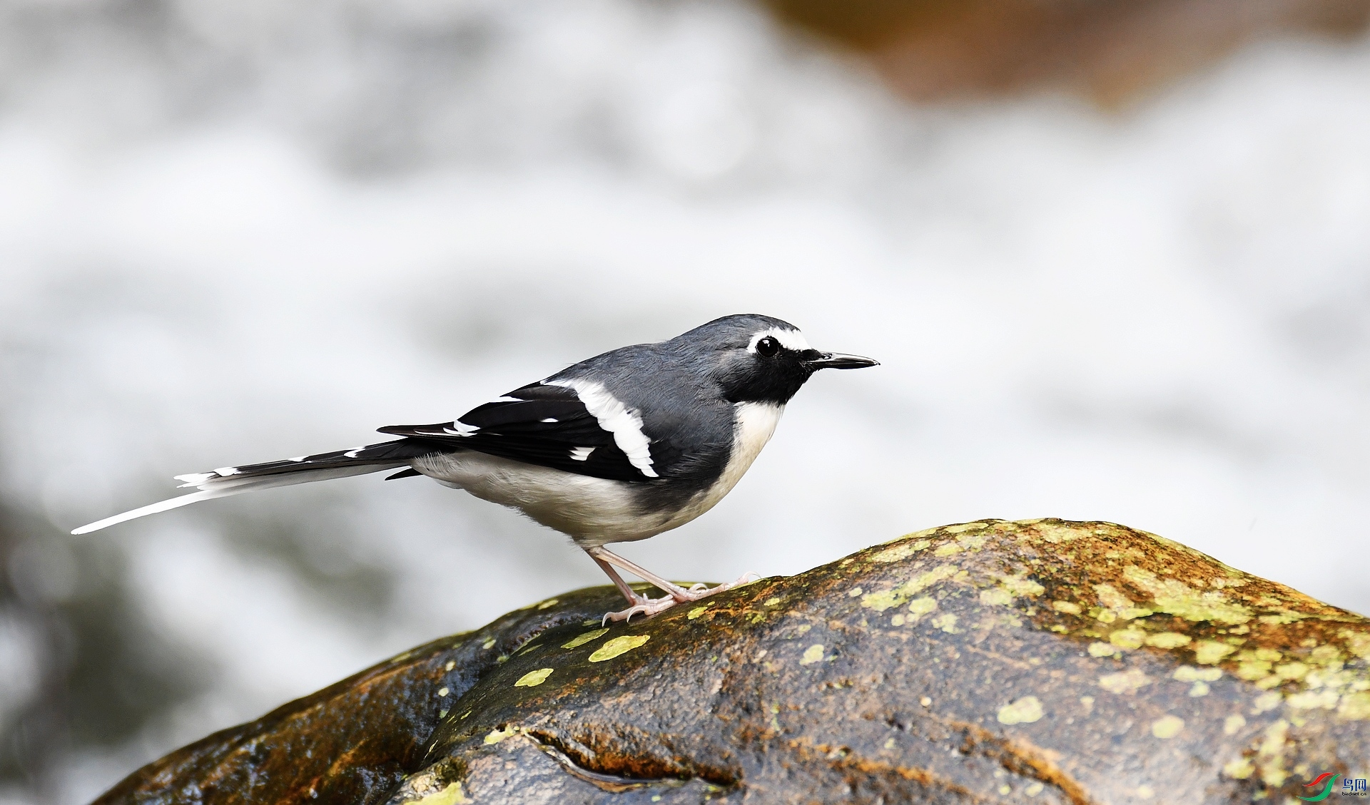 DSC_7262.jpg