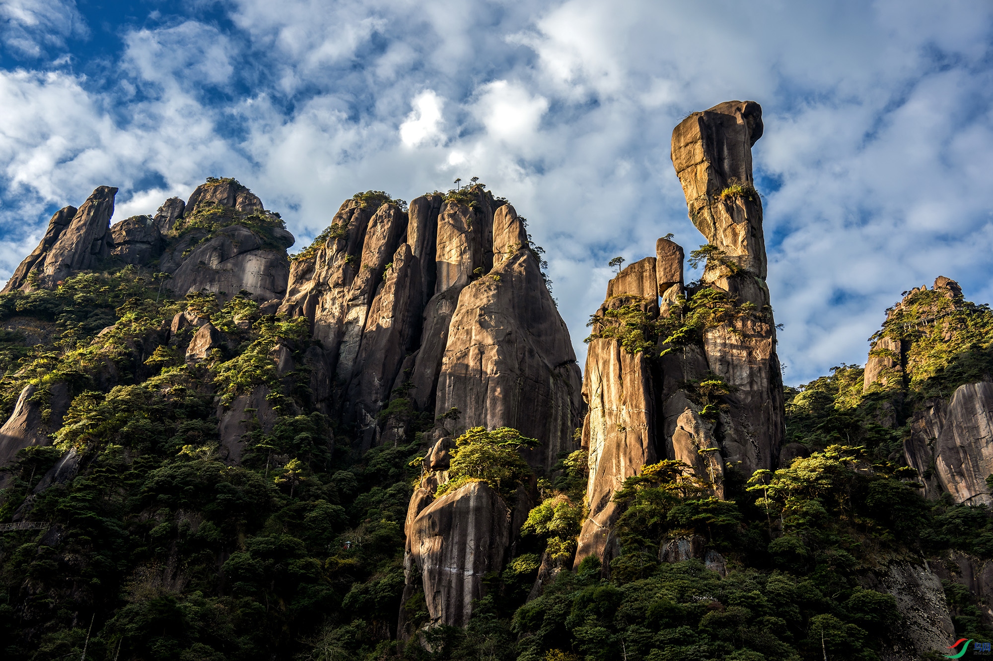 DSC_1431-1 ����.jpg