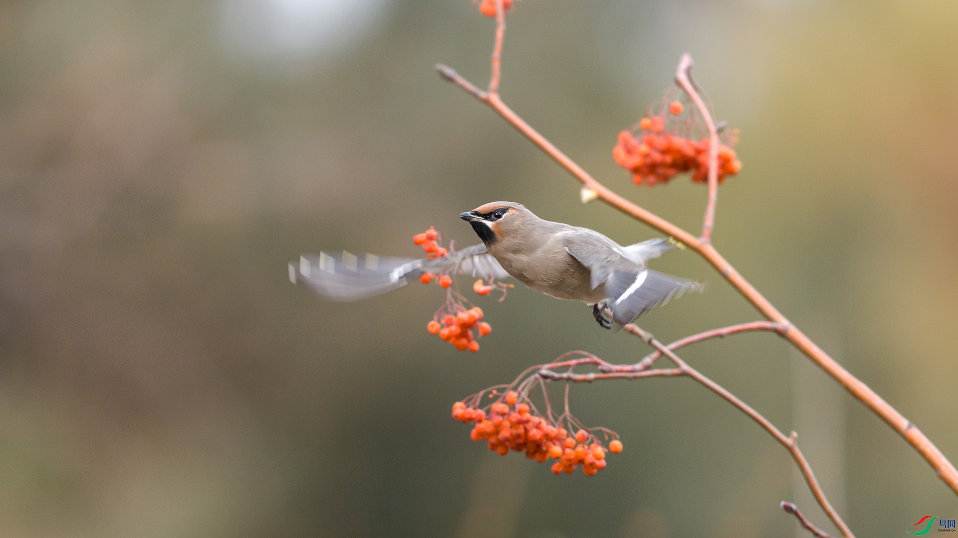 051A9225 ����n.jpg