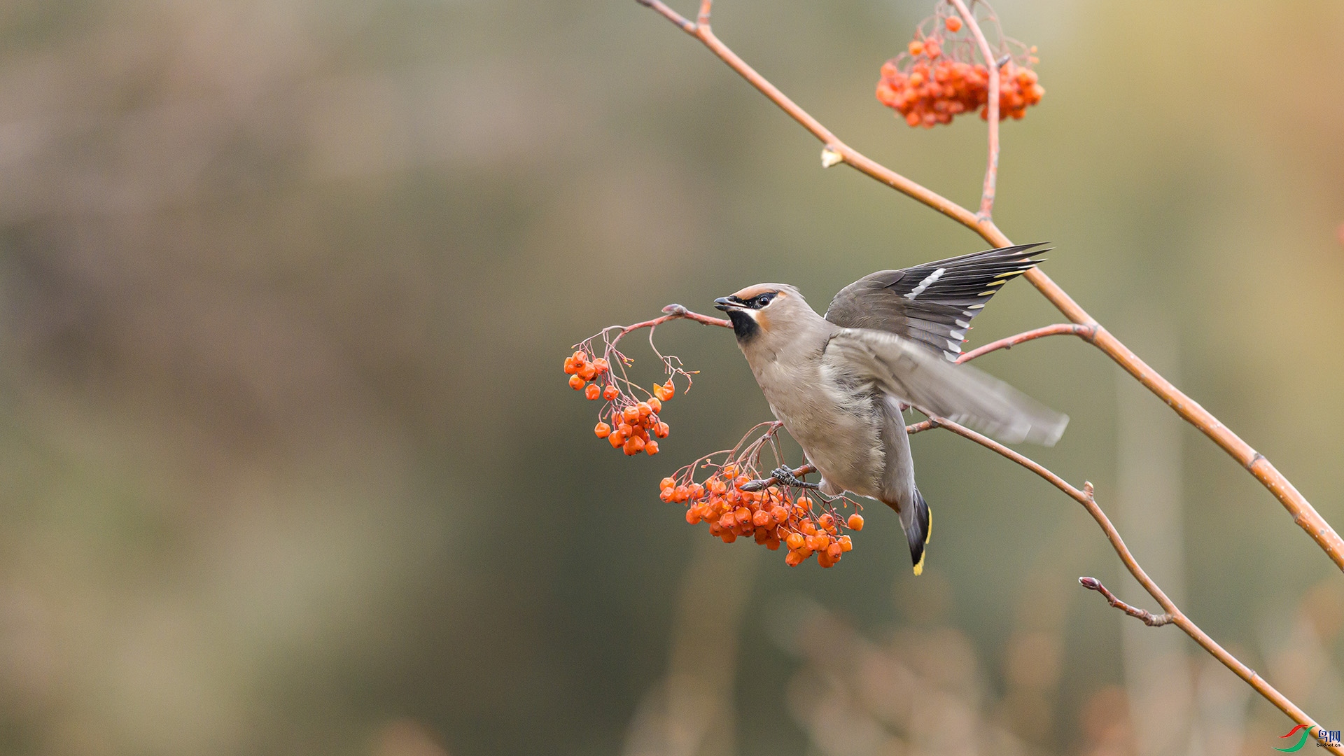 051A9222 ����n.jpg